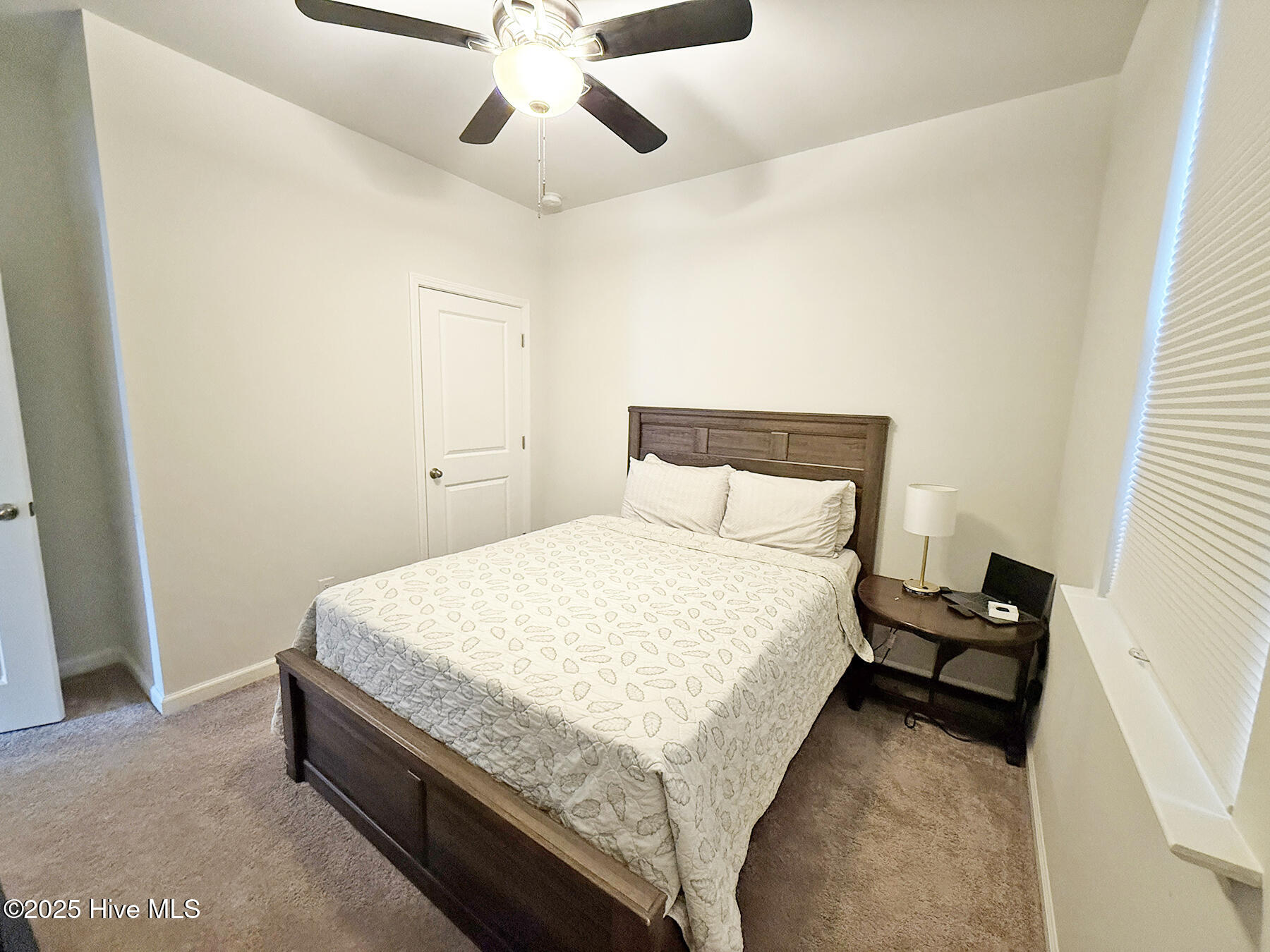 100544374 | Photo 10