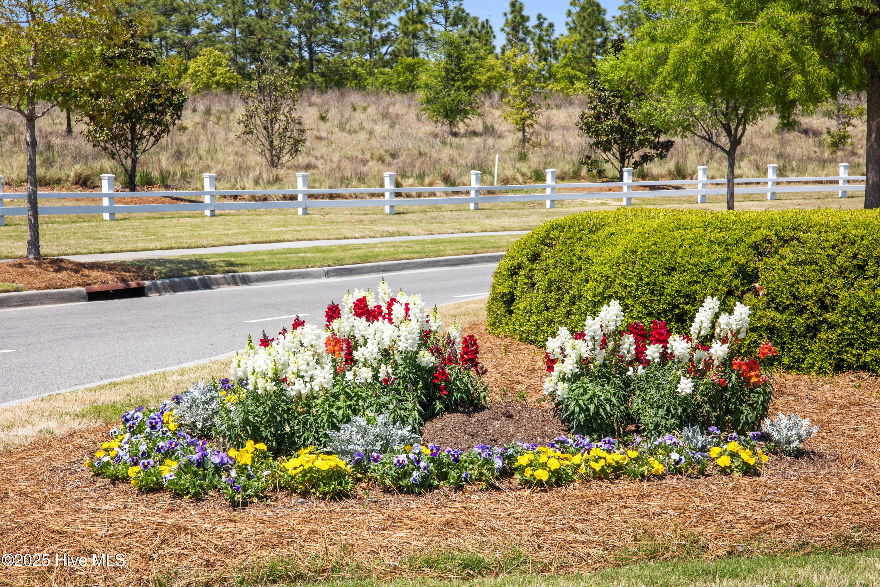 100476655 | Photo 65