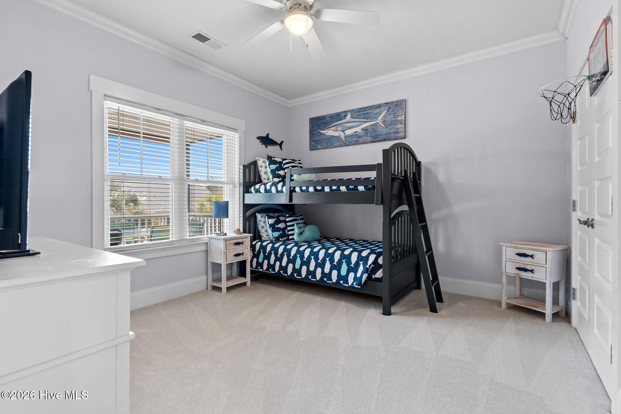 100563118 | Photo 39