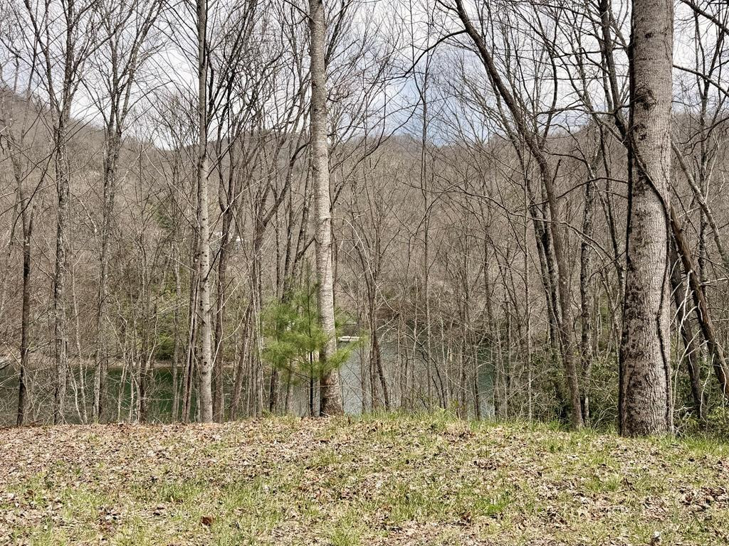 Exterior photo of TBD Rainwater Point / Indian Lake Road, Nantahala, NC 28781. MLS: 98544375