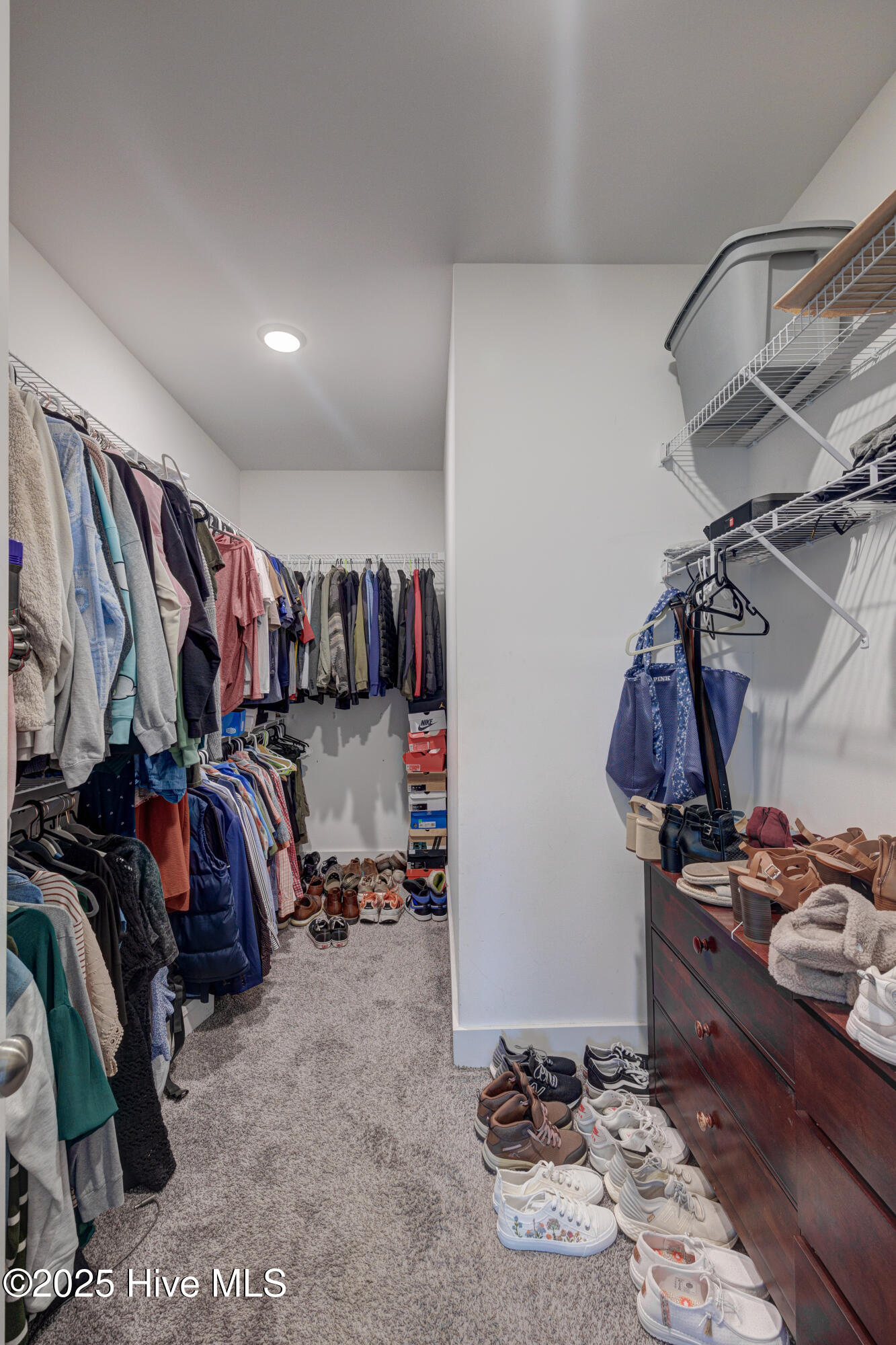 100534229 | Photo 30