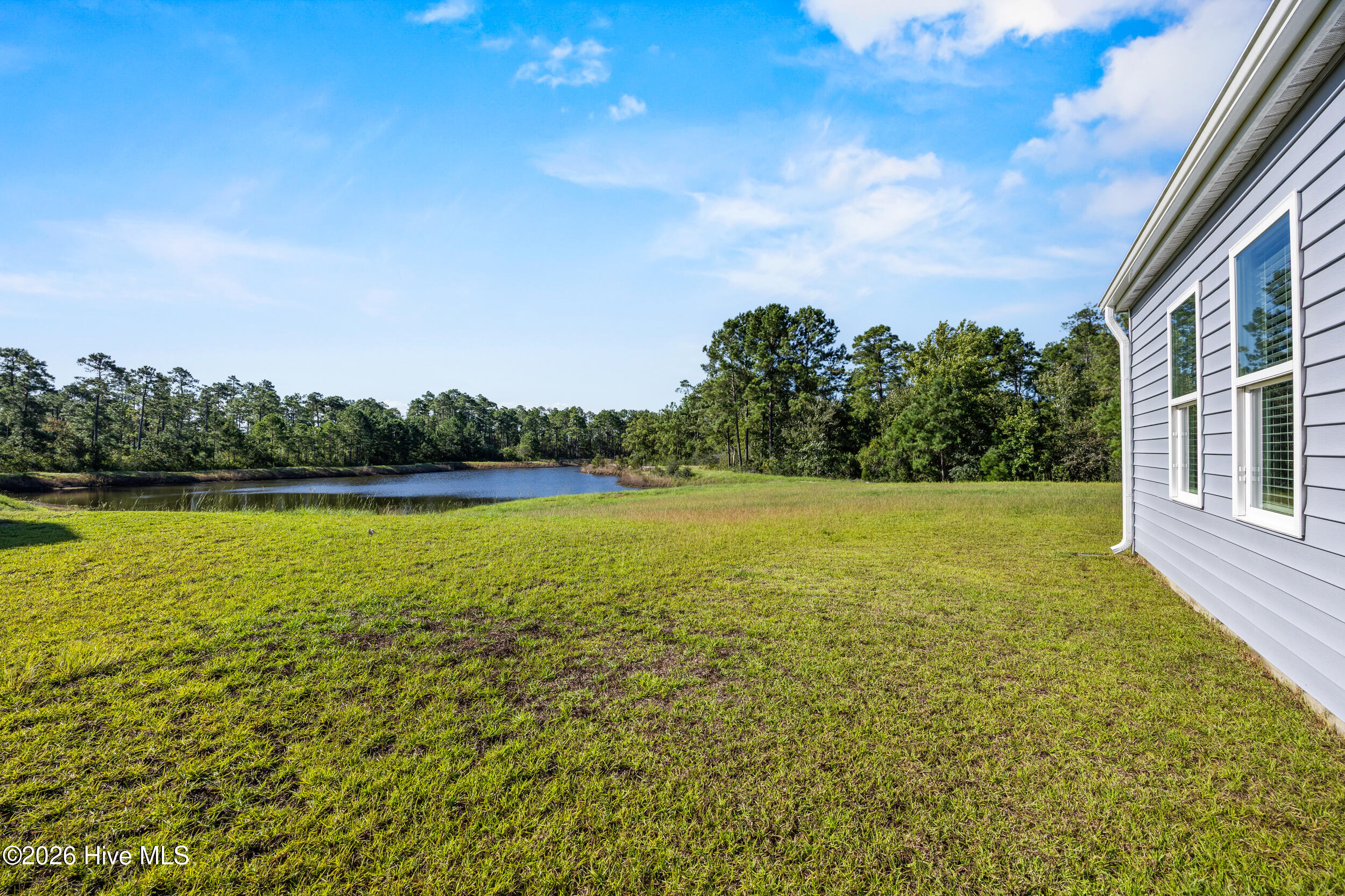 100603830 | Photo 2