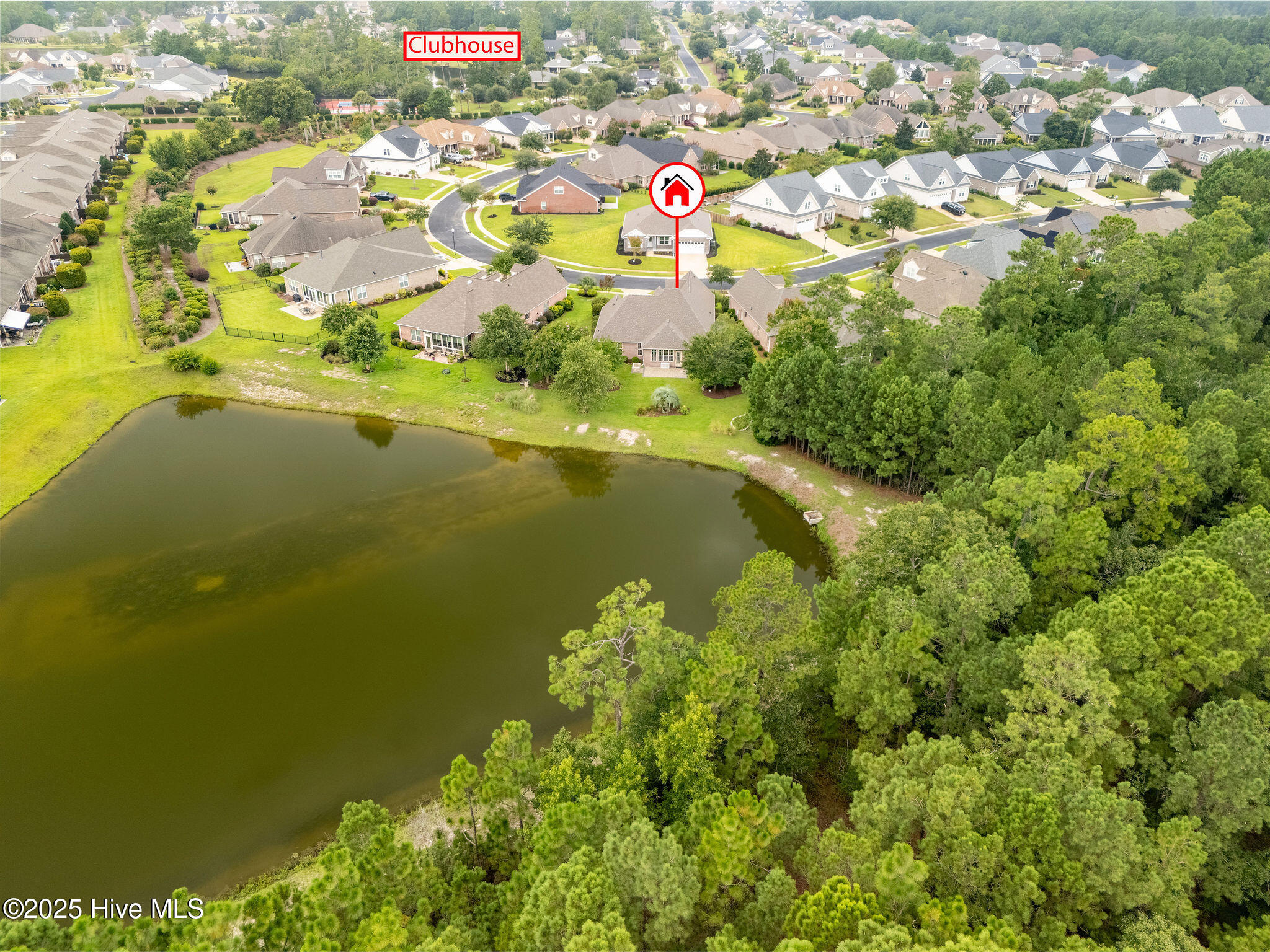 100524928 | Photo 44