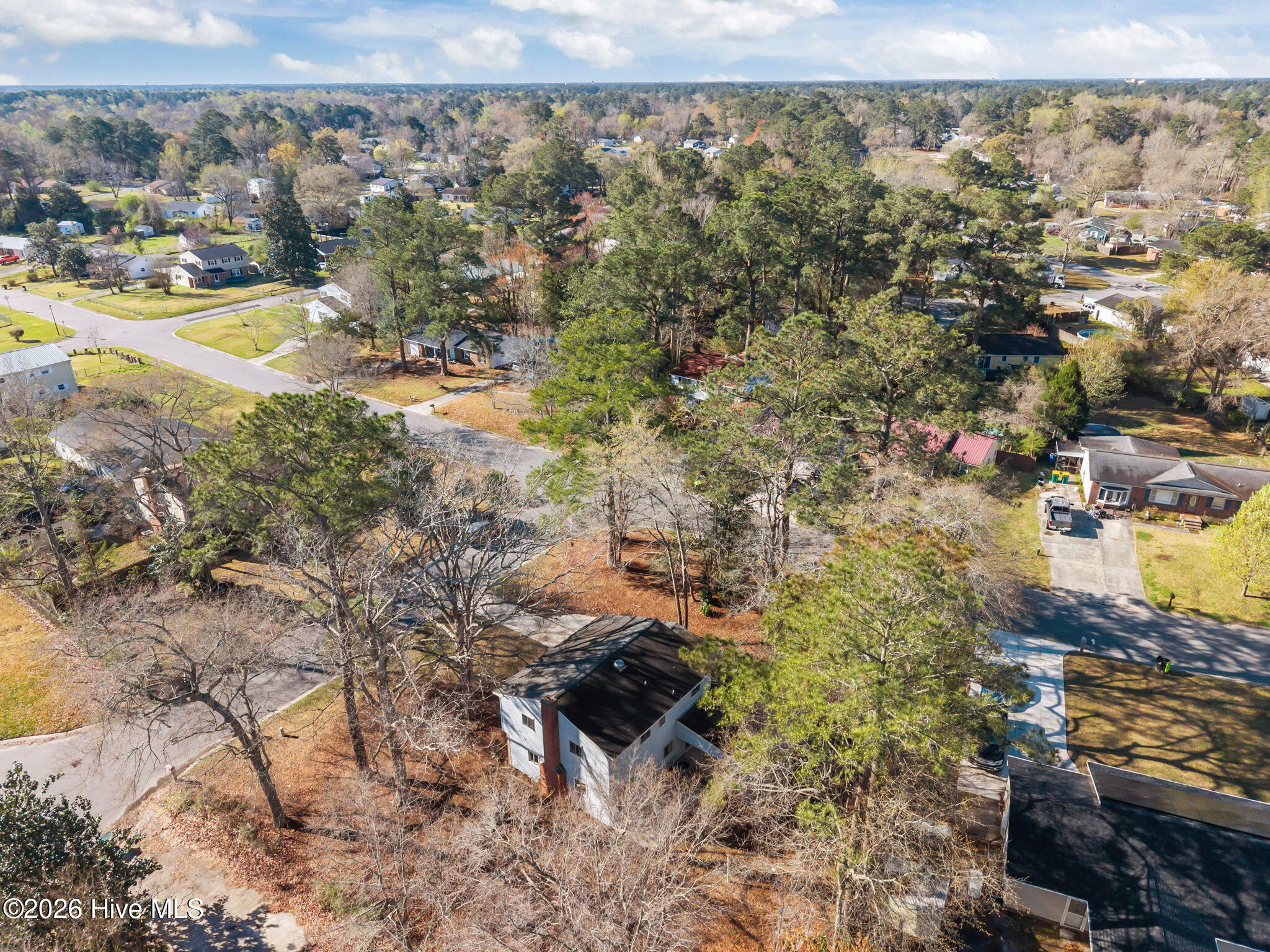 100560712 | Photo 46