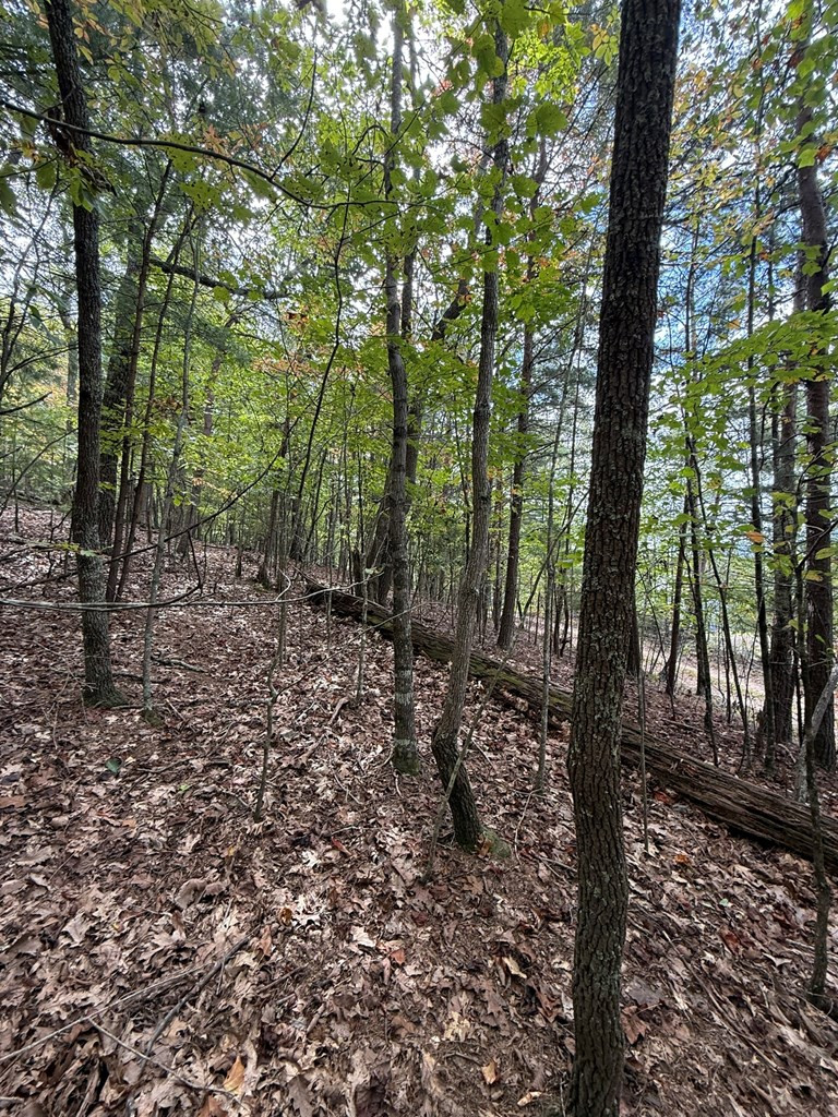 Exterior photo of Lot 15 Timber Lane Estates, Murphy, NC 28906. MLS: 98524869