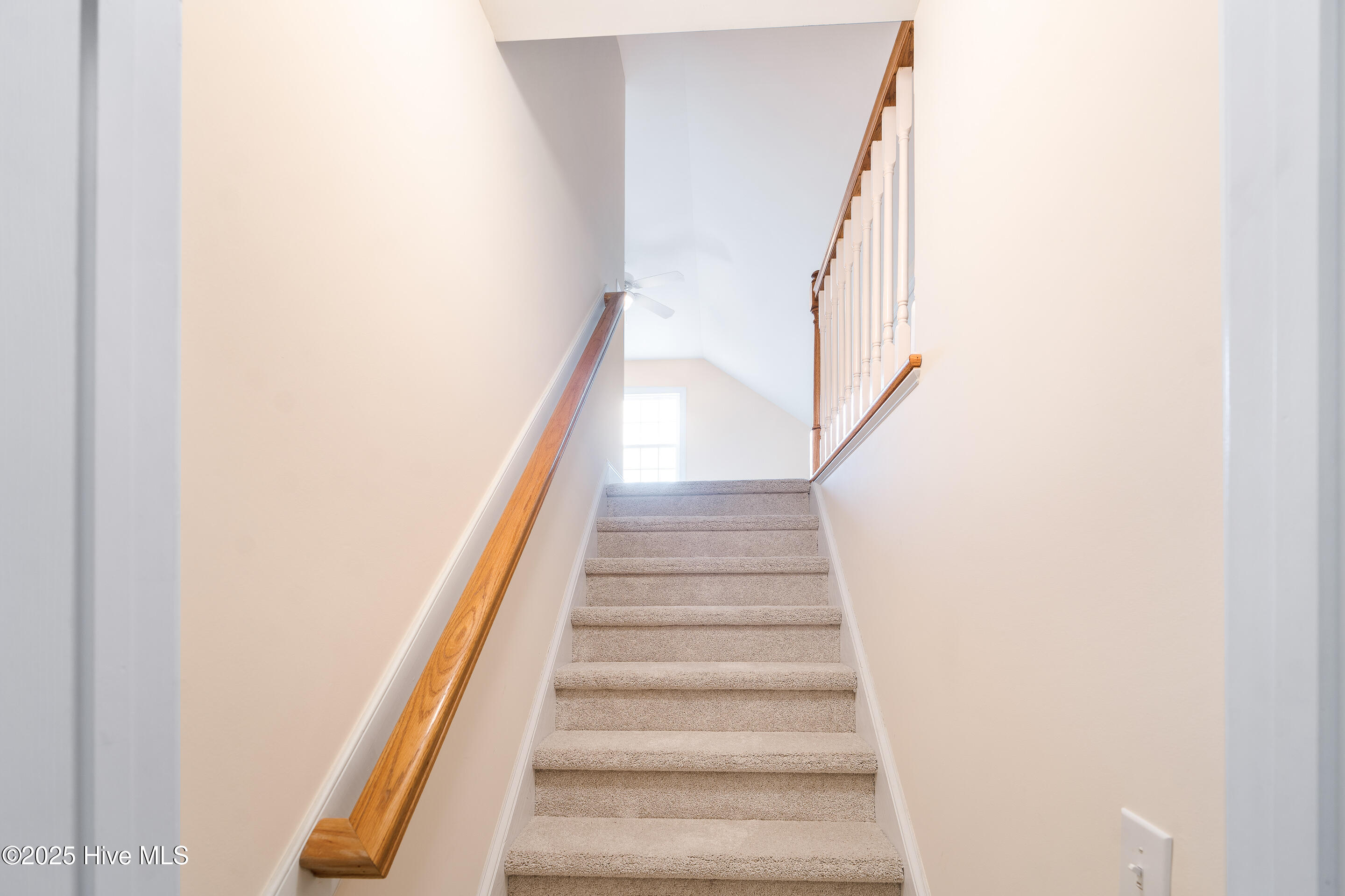 100499709 | Photo 46