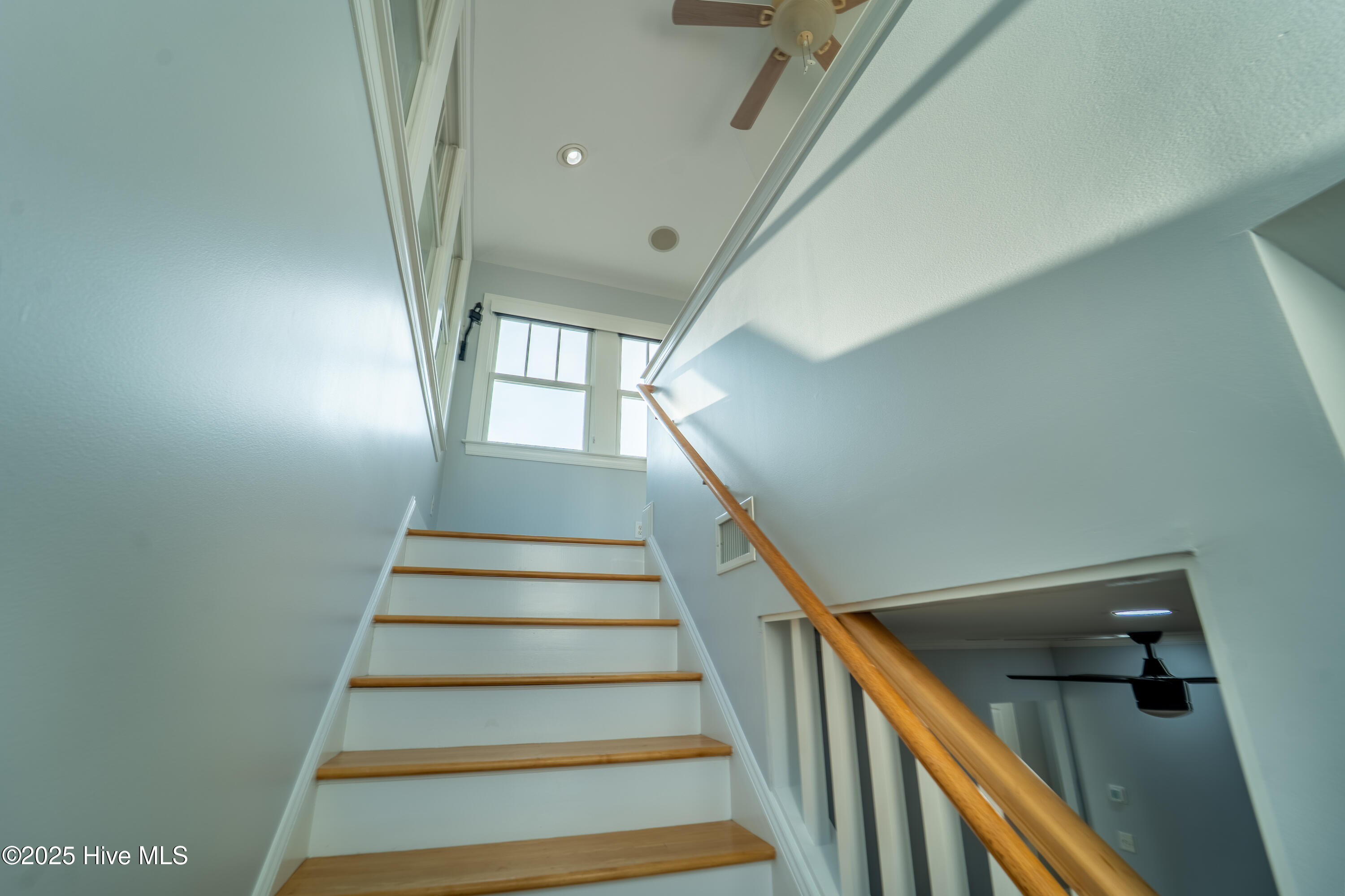 100544642 | Photo 44