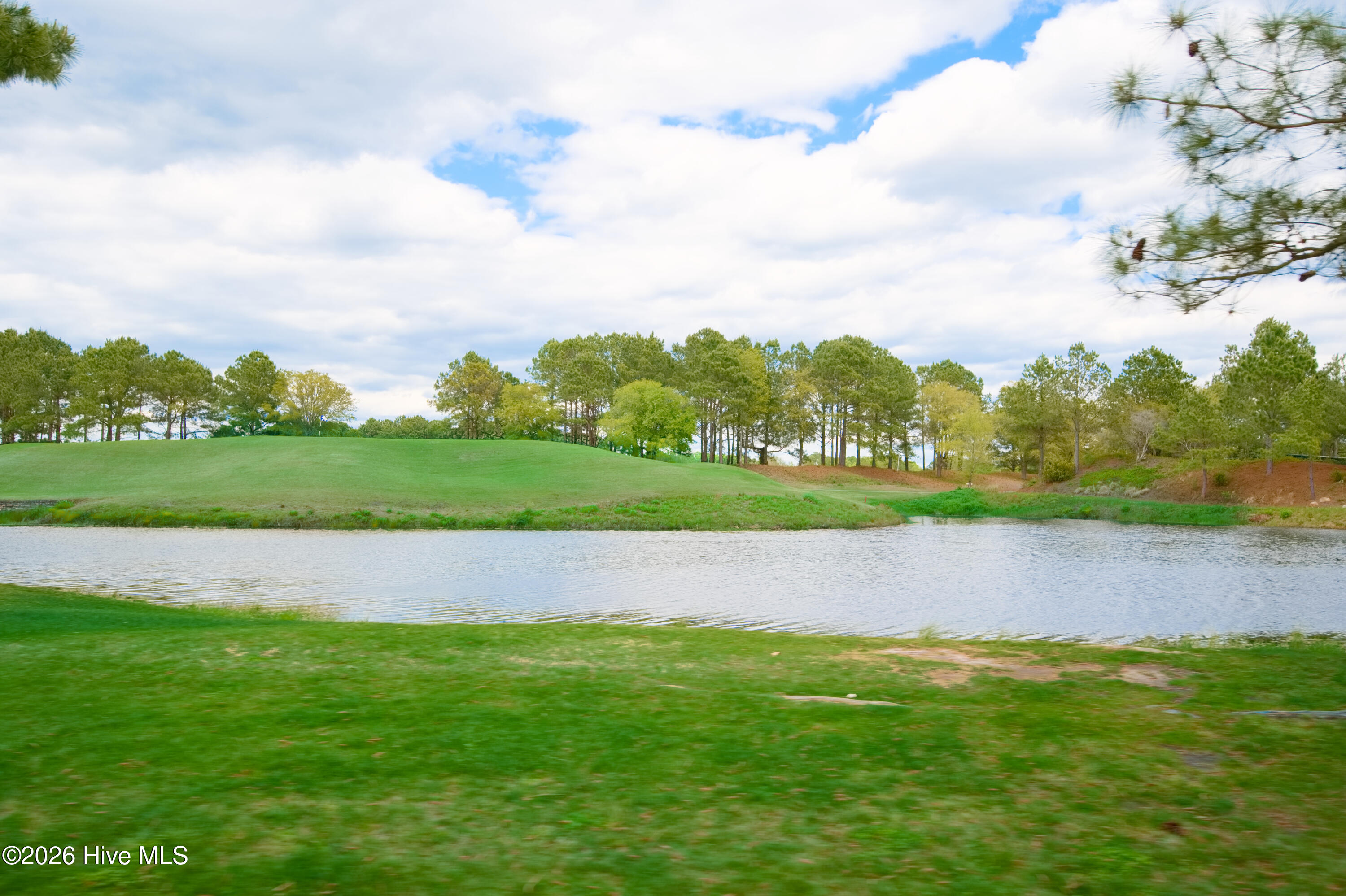 100560643 | Photo 22