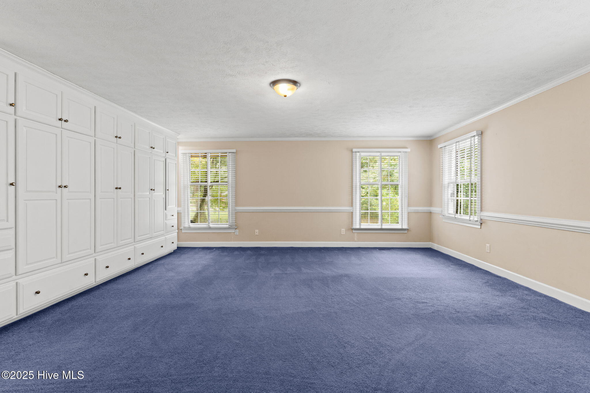 100526462 | Photo 28