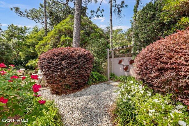 100567755 | Photo 17