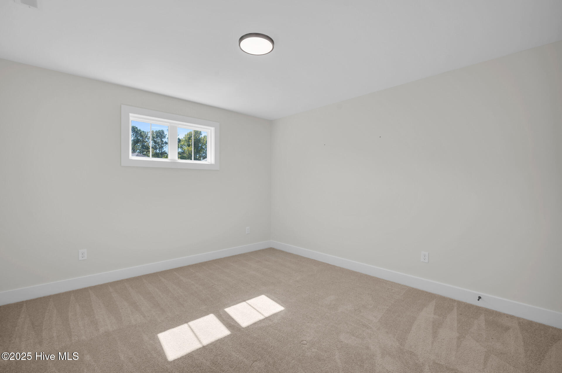 100537443 | Photo 21