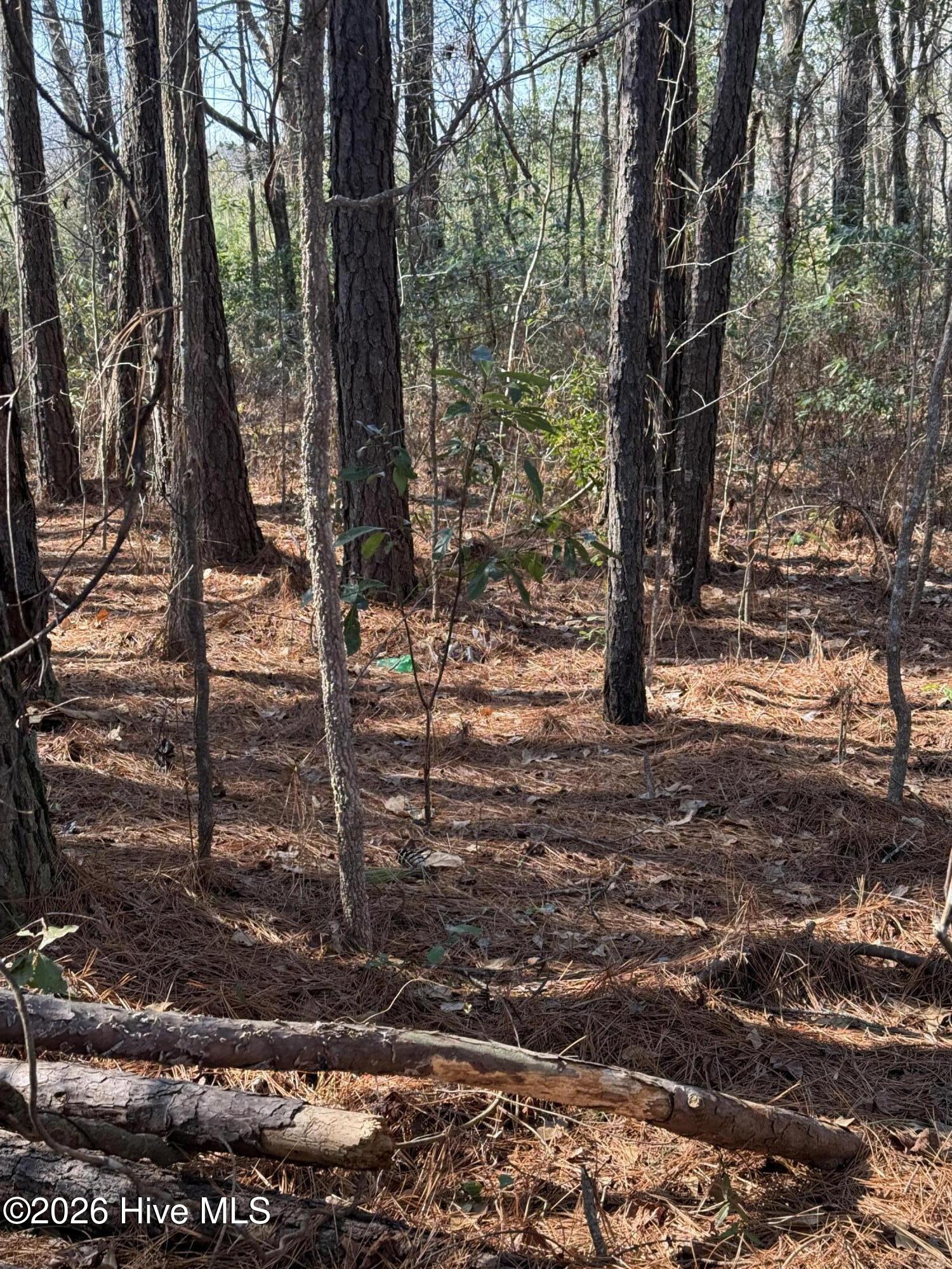 100554571 | Photo 14