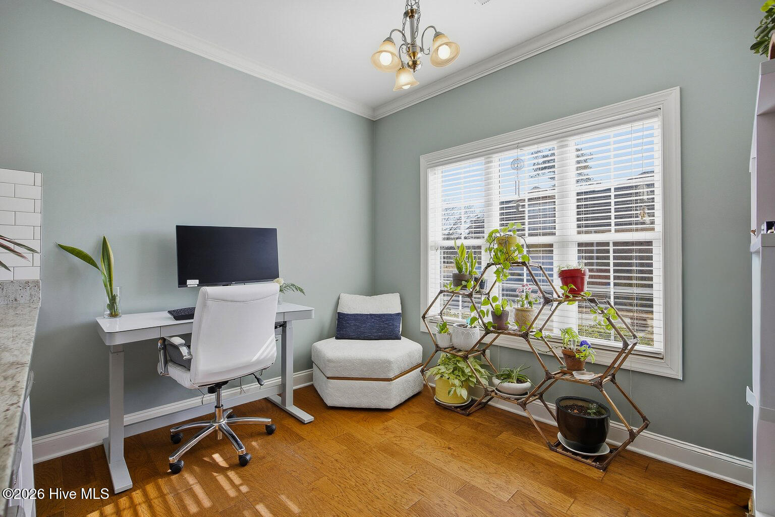 100554989 | Photo 12