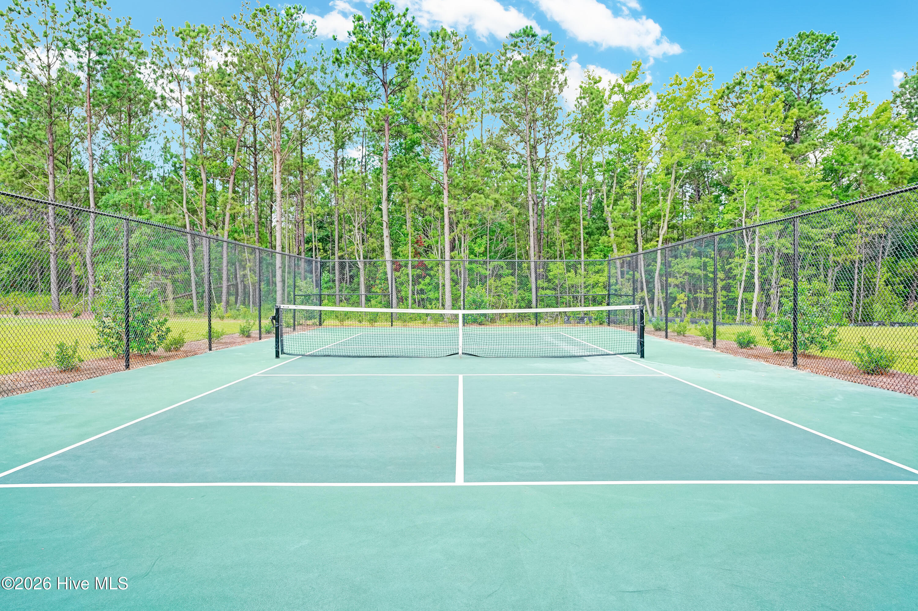 100565861 | Photo 80