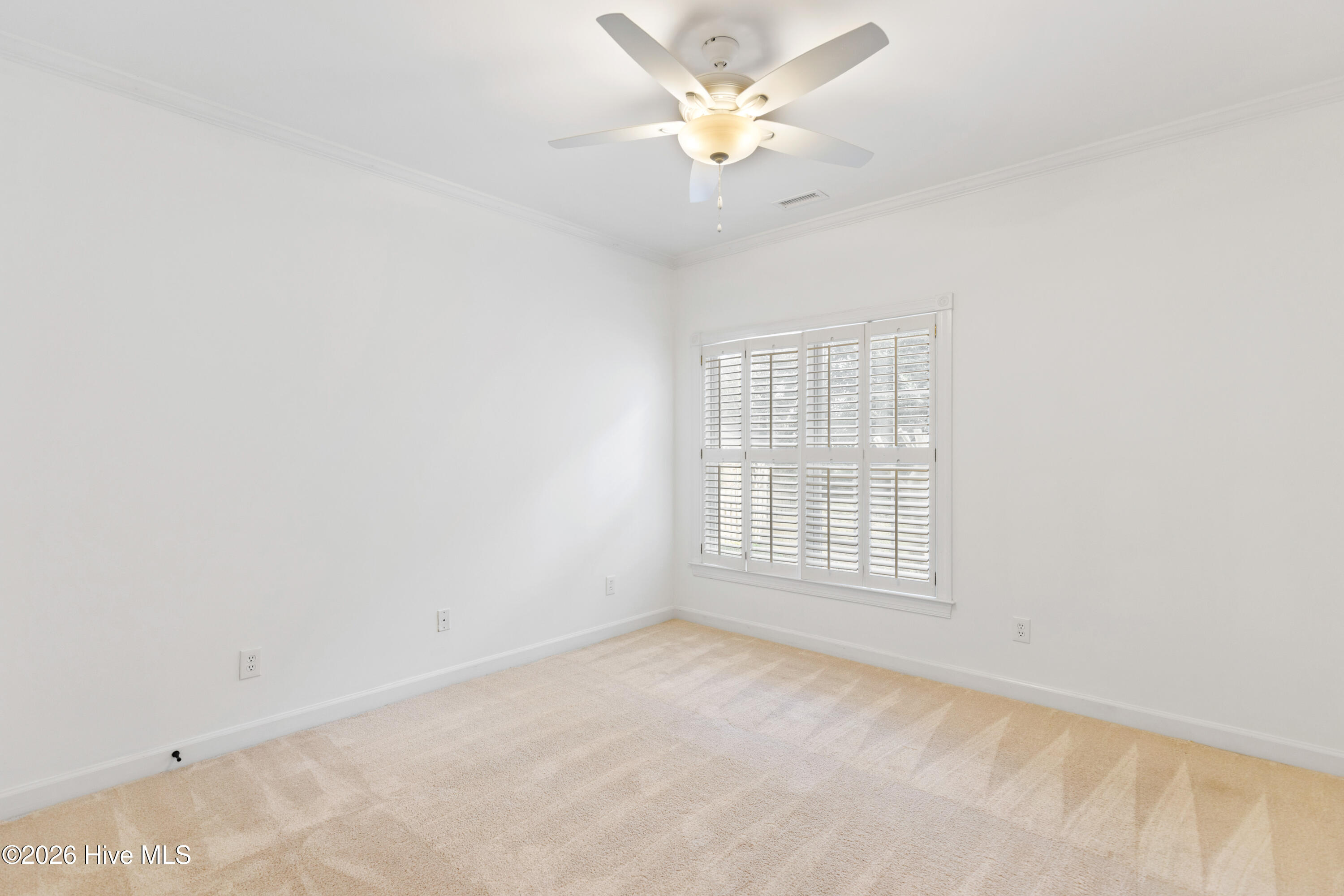 100560916 | Photo 58