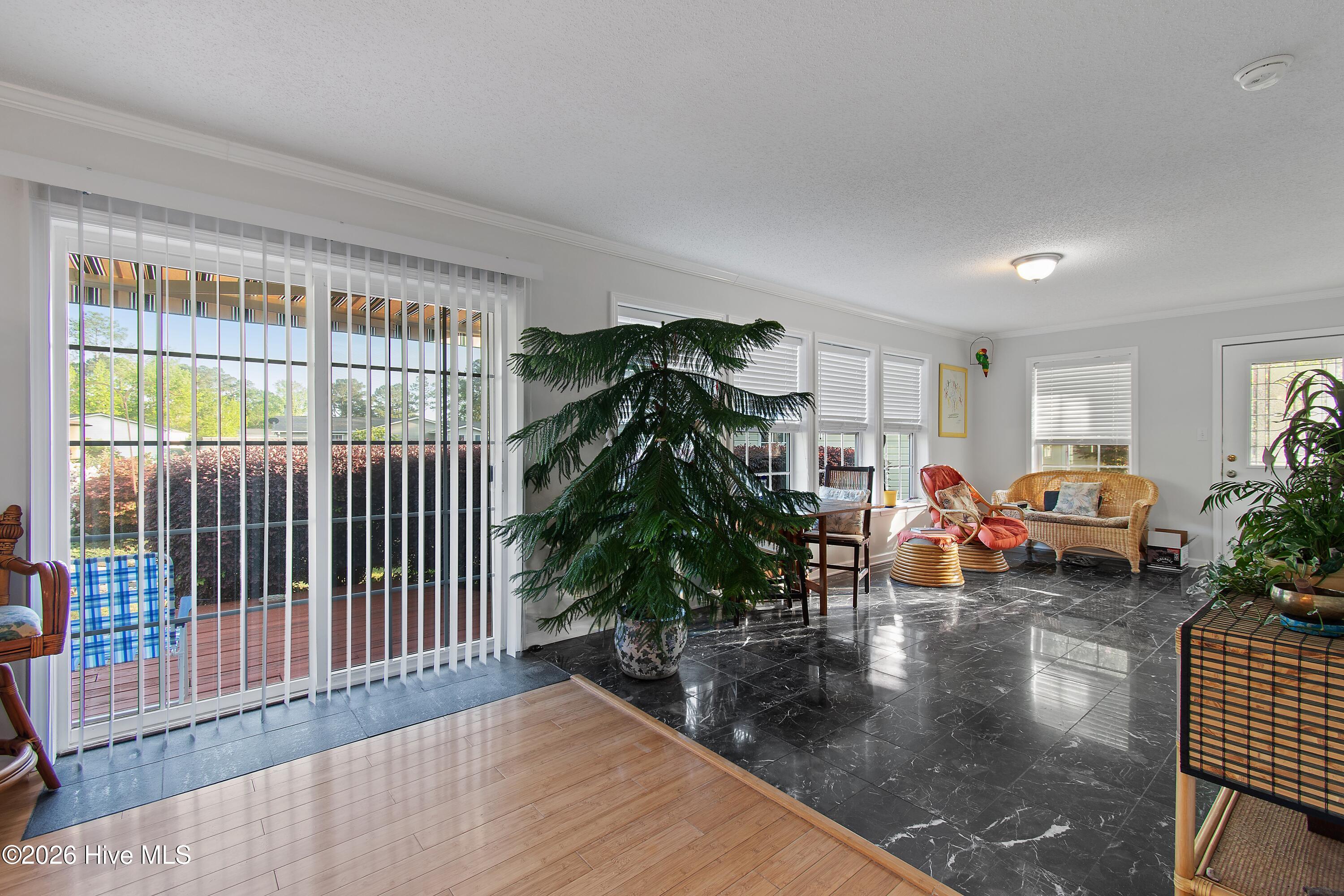 100568231 | Photo 25