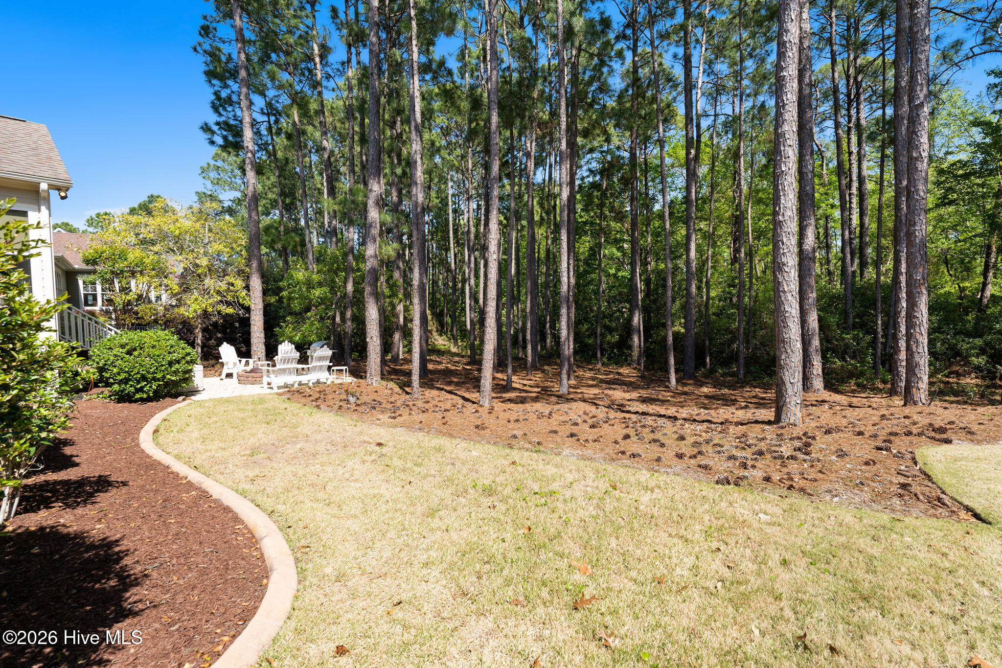 100567899 | Photo 63