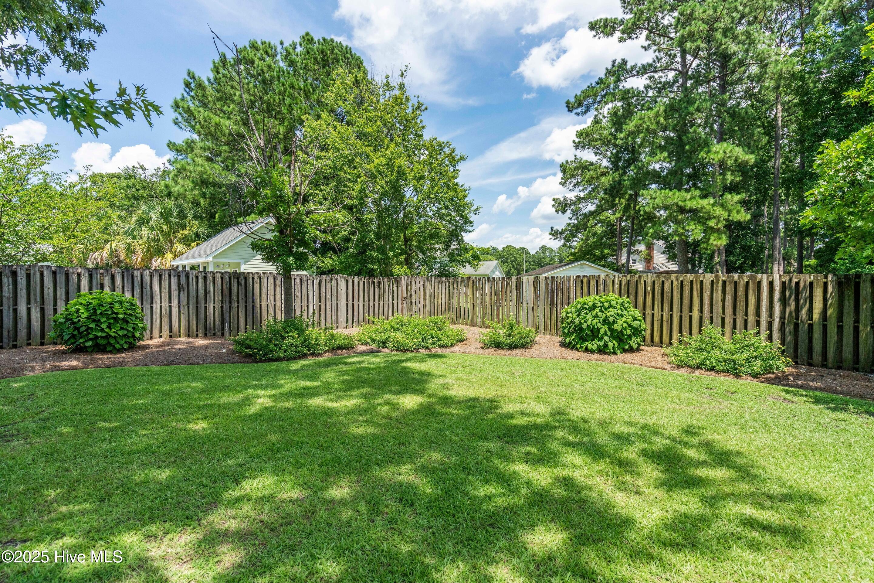 100518438 | Photo 66