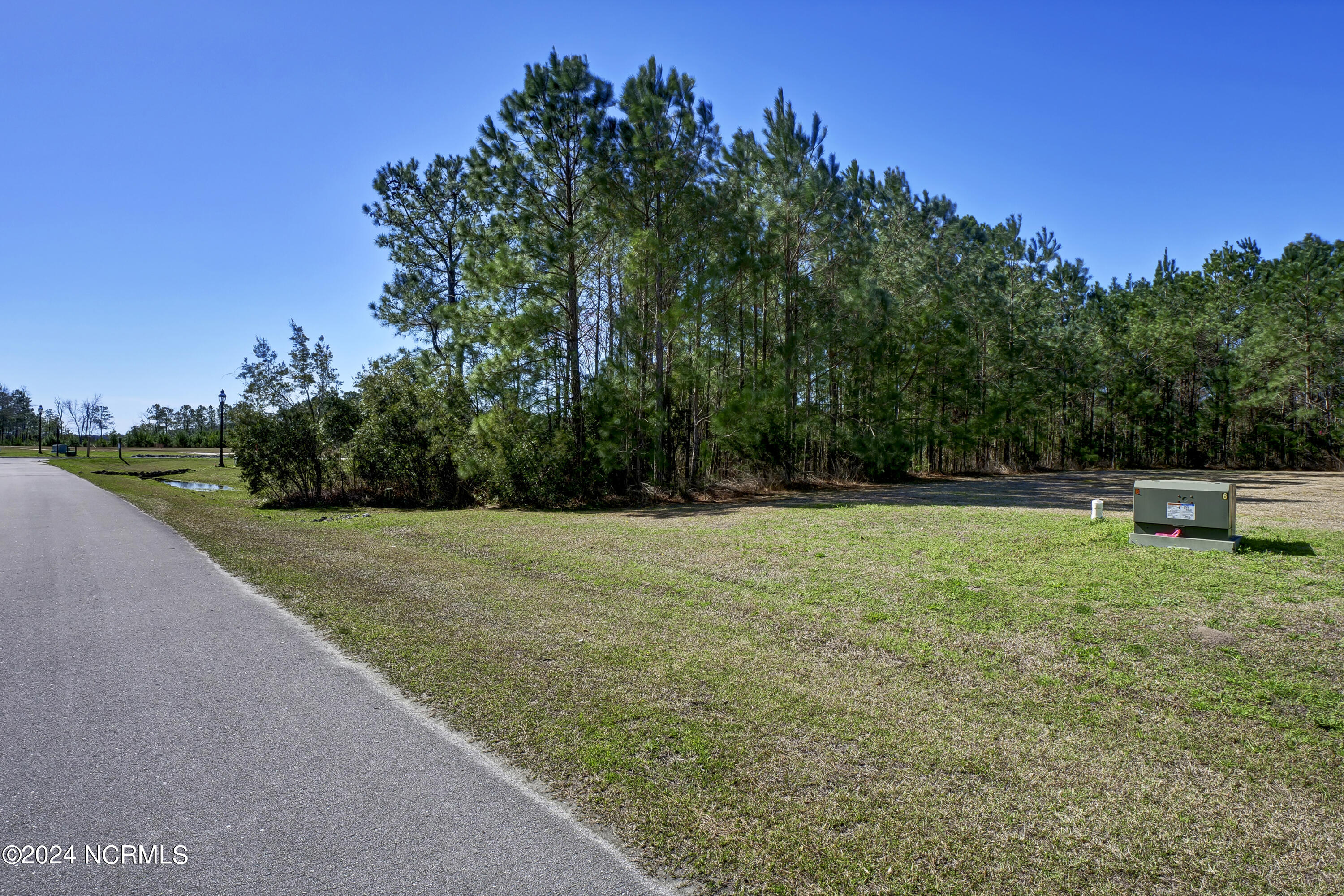 100559912 | Photo 15