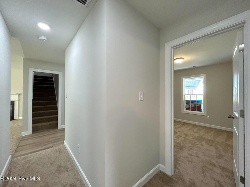 100563391 | Photo 18