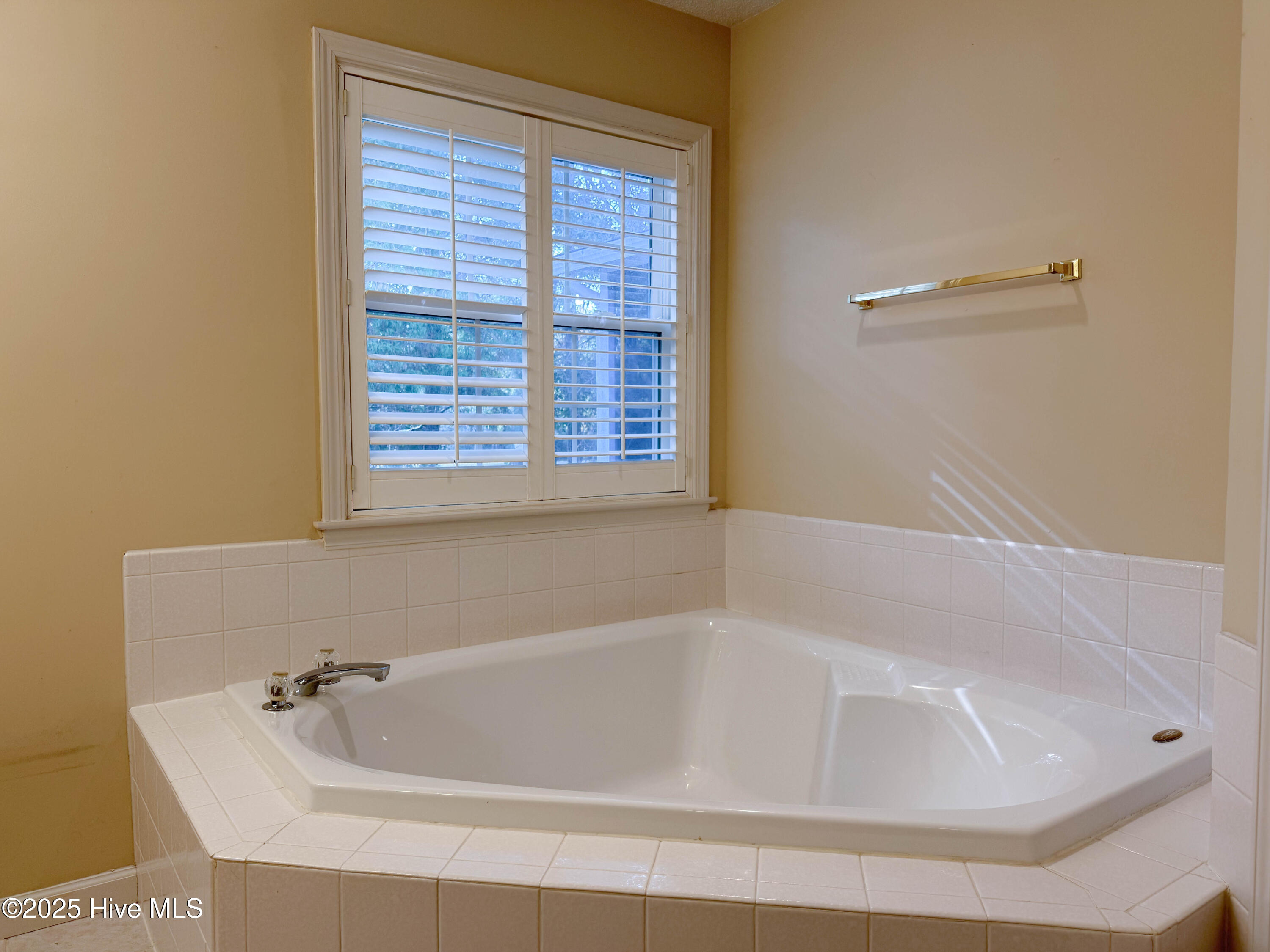 100542356 | Photo 32