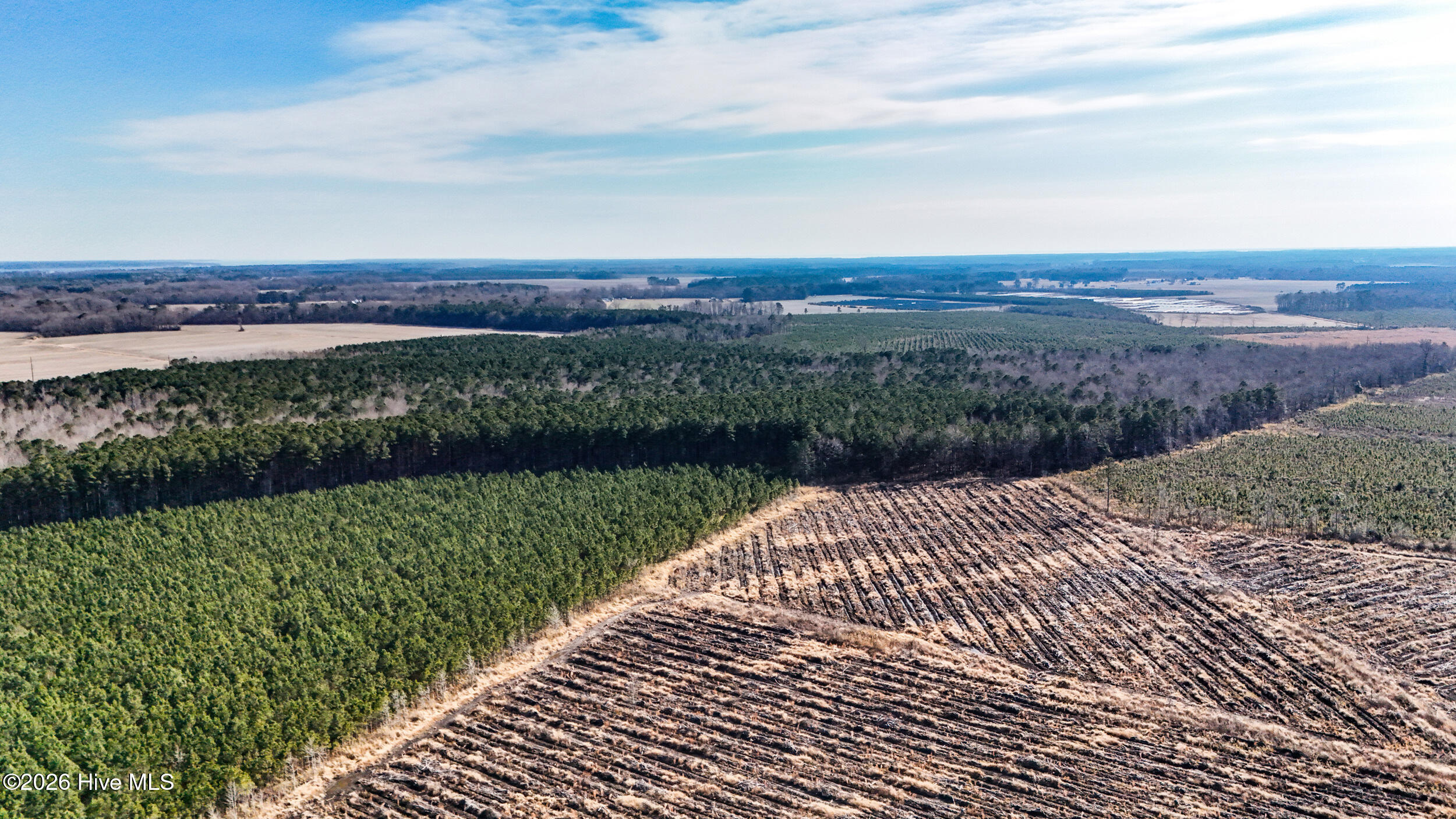 dji_20260104133805_0009_d