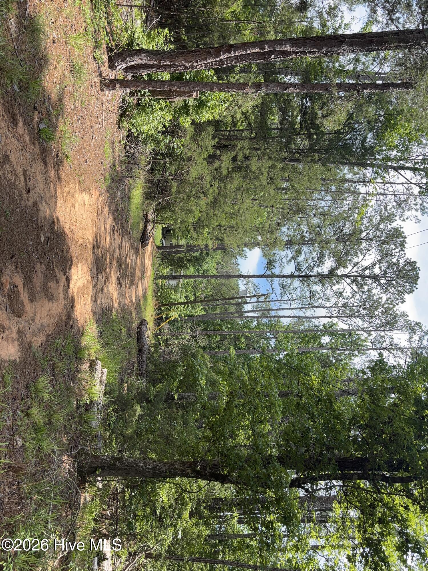 3763 Adelia Drive, Appling, GA 30802 Listing Photo  1