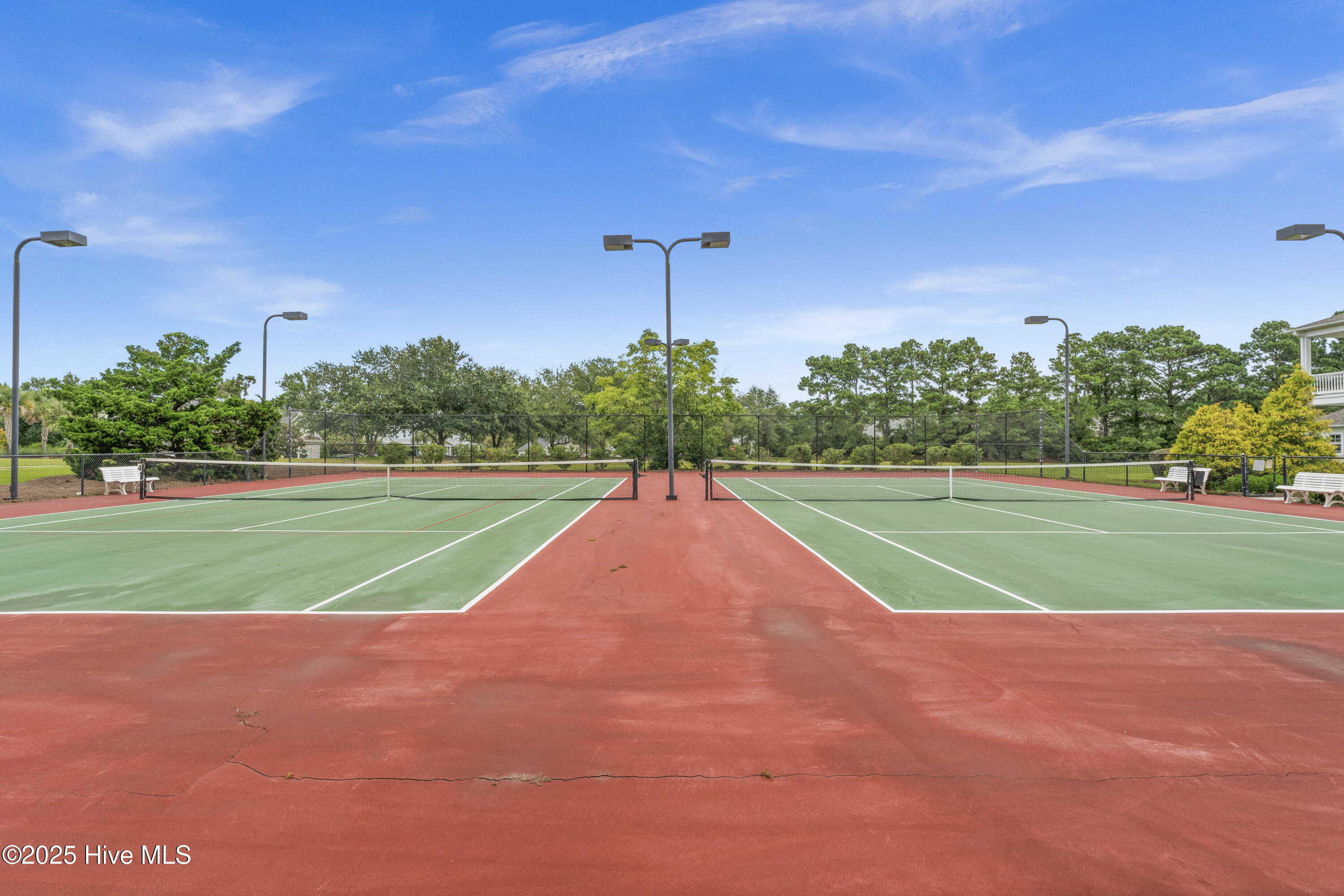 100523581 | Photo 34