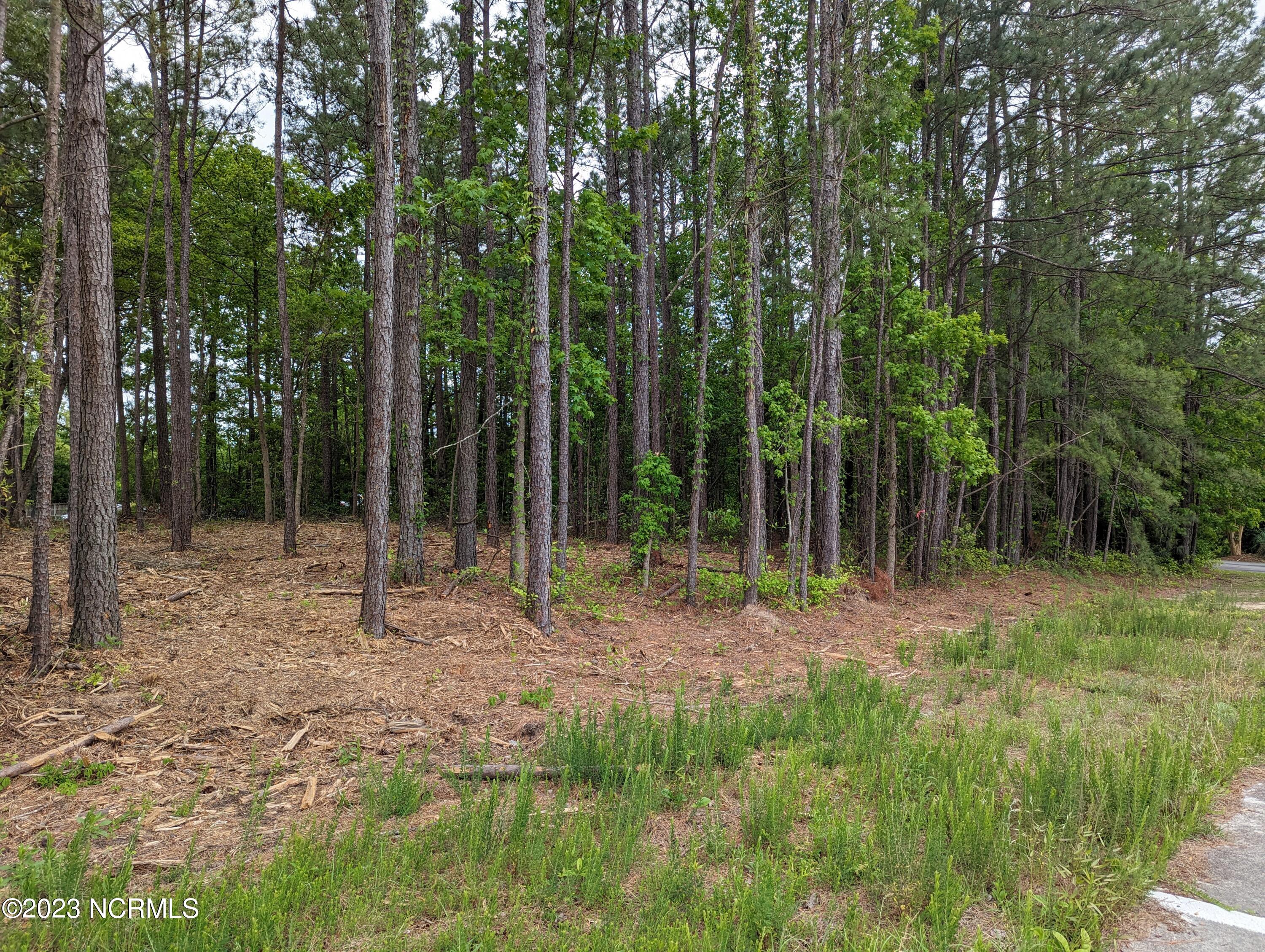 2520 Henderson Drive,Jacksonville