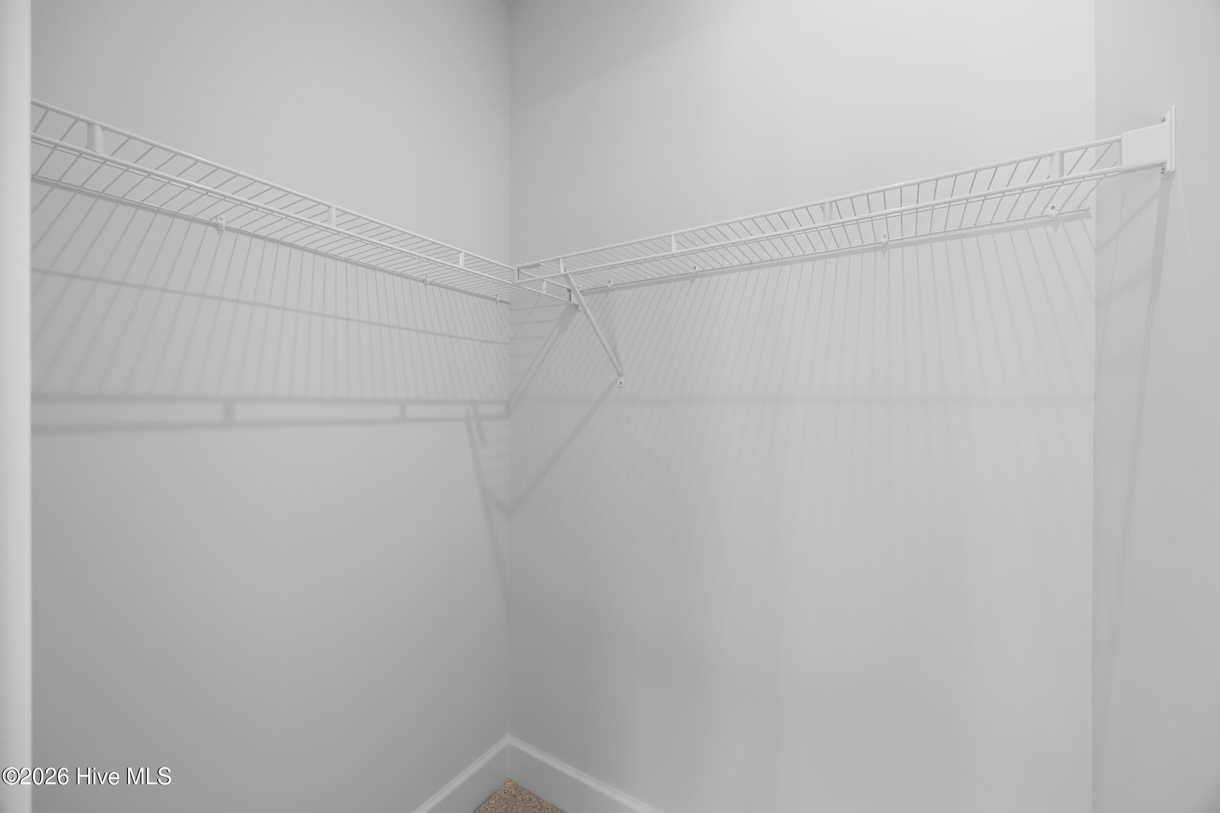 100523134 | Photo 30