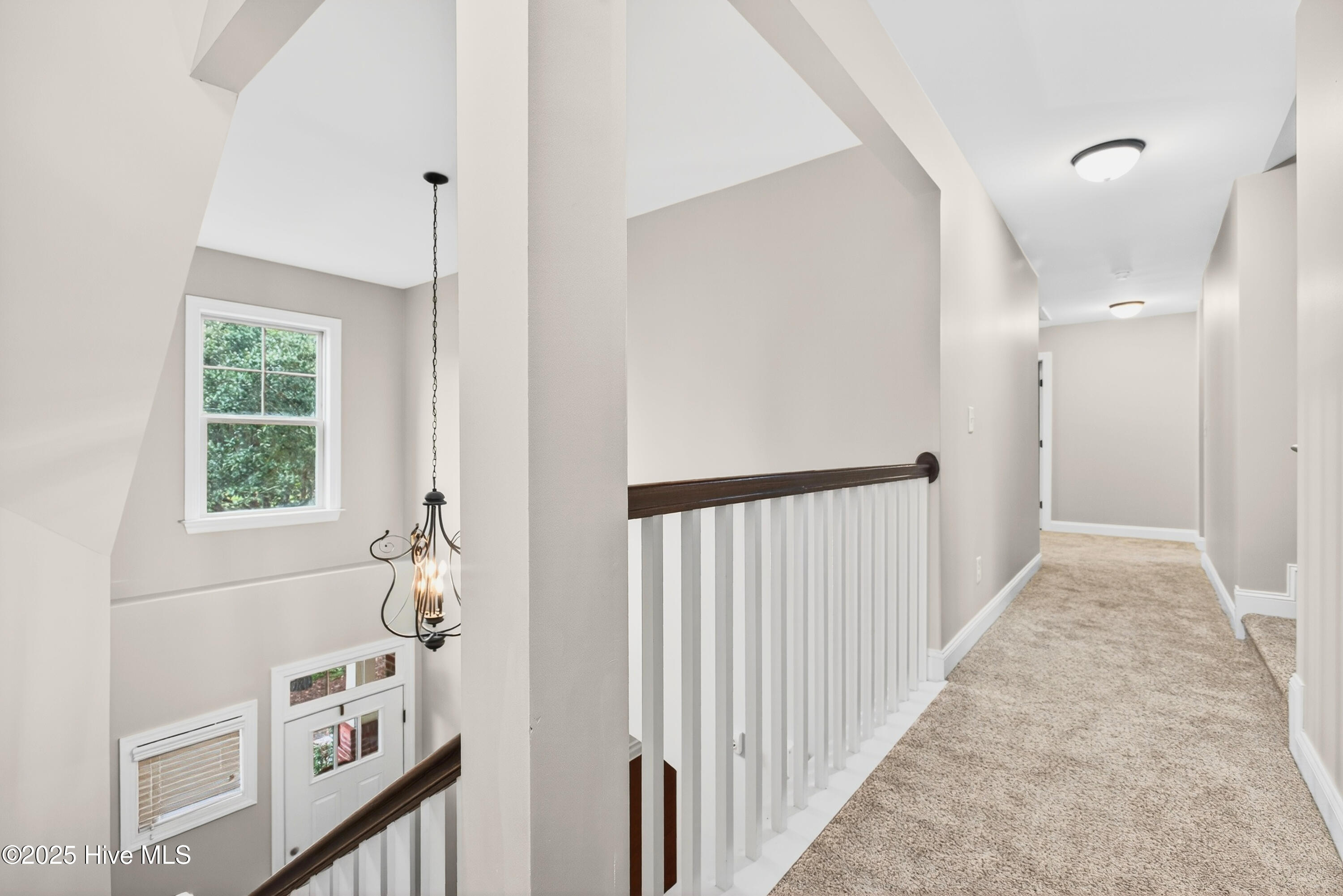 100534677 | Photo 36