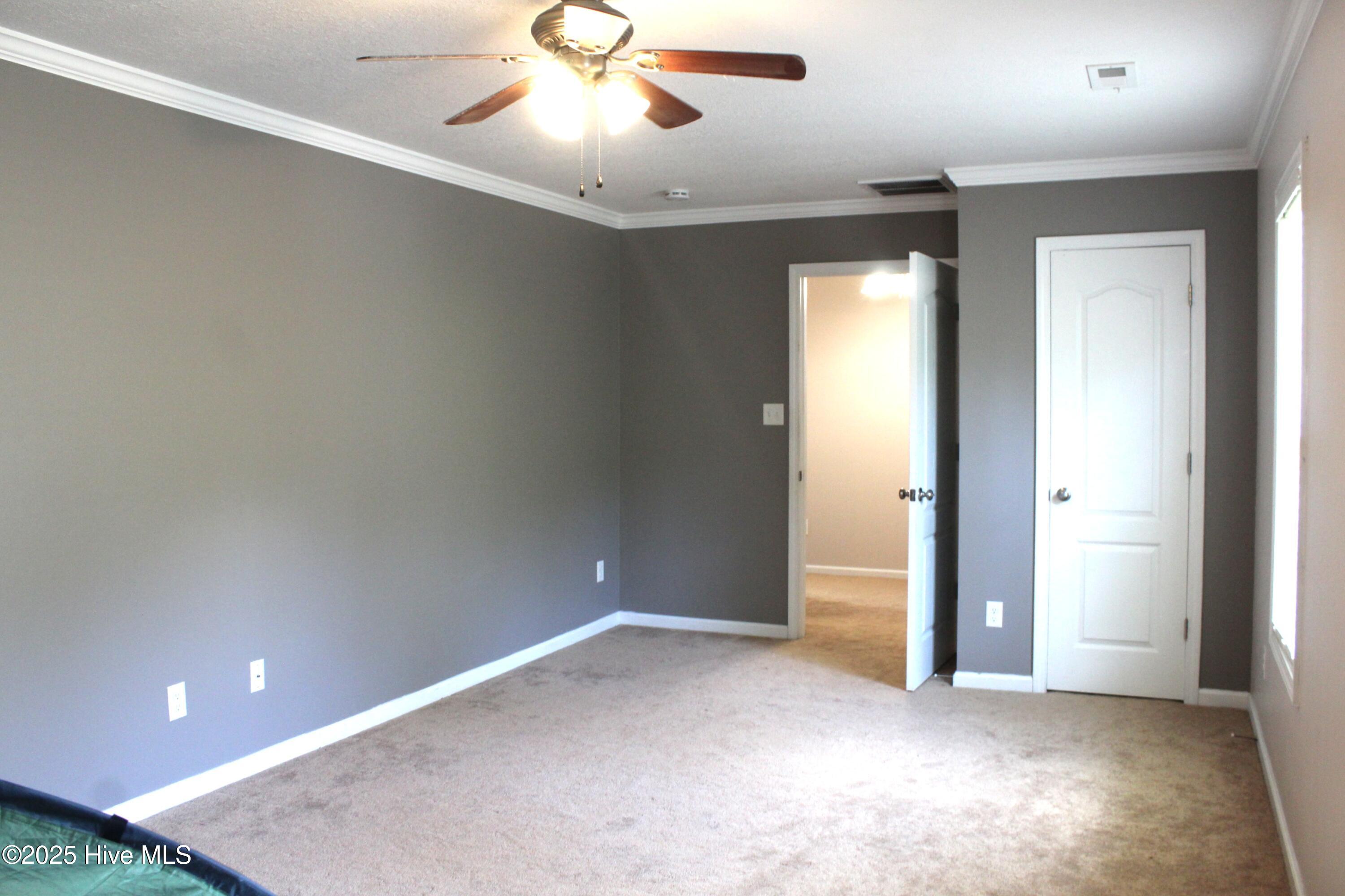 100555059 | Photo 13