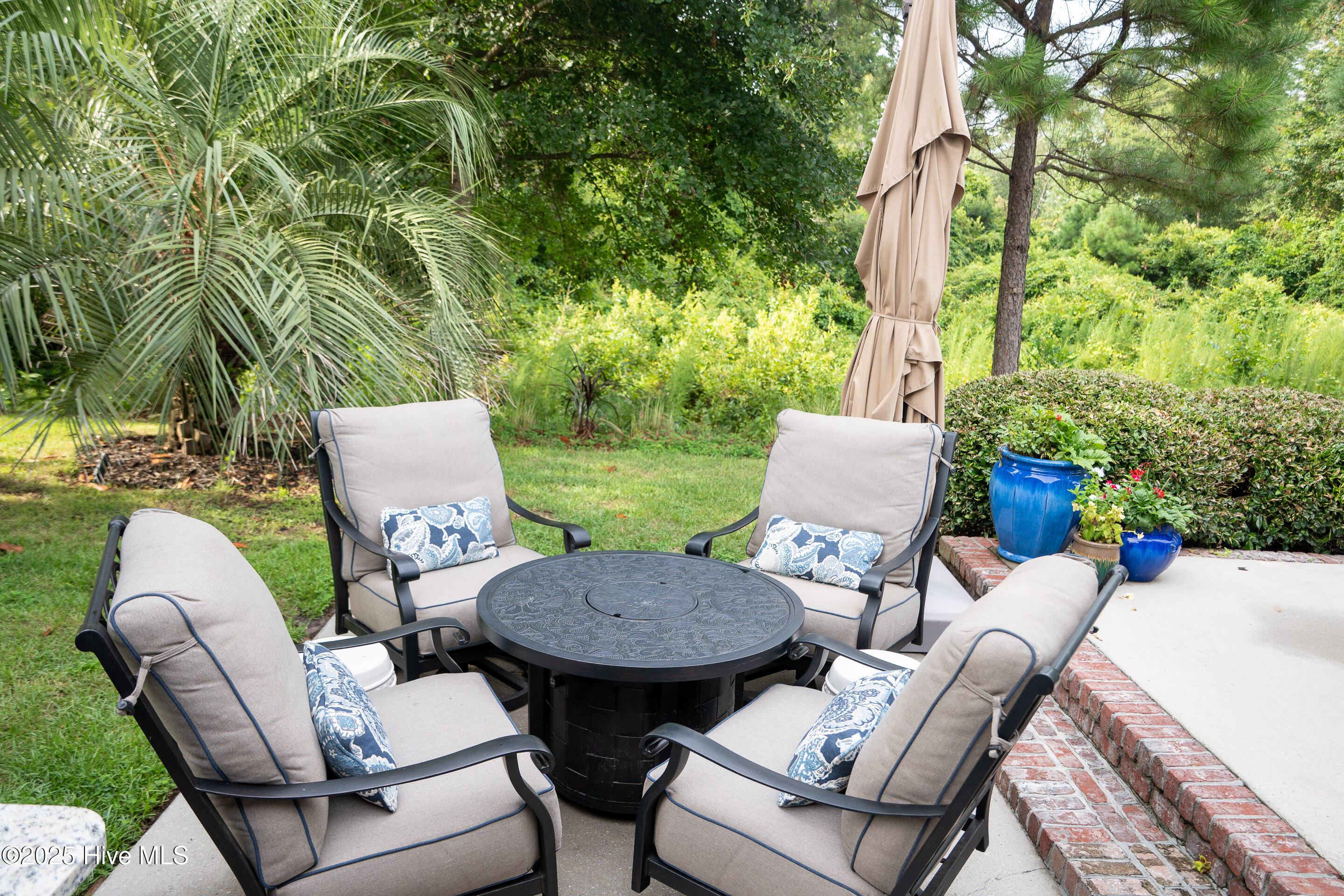 100526851 | Photo 48