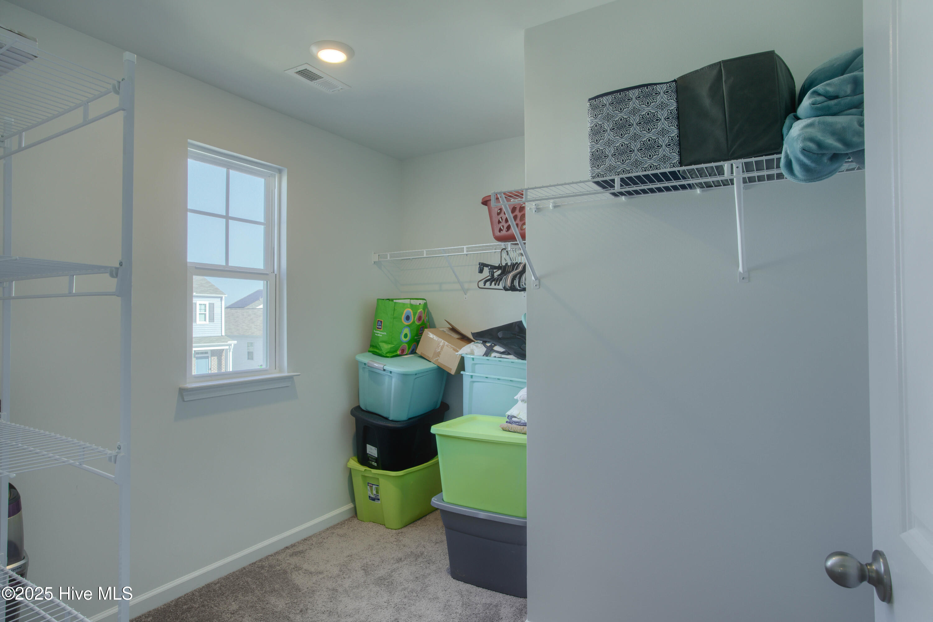 100538124 | Photo 25