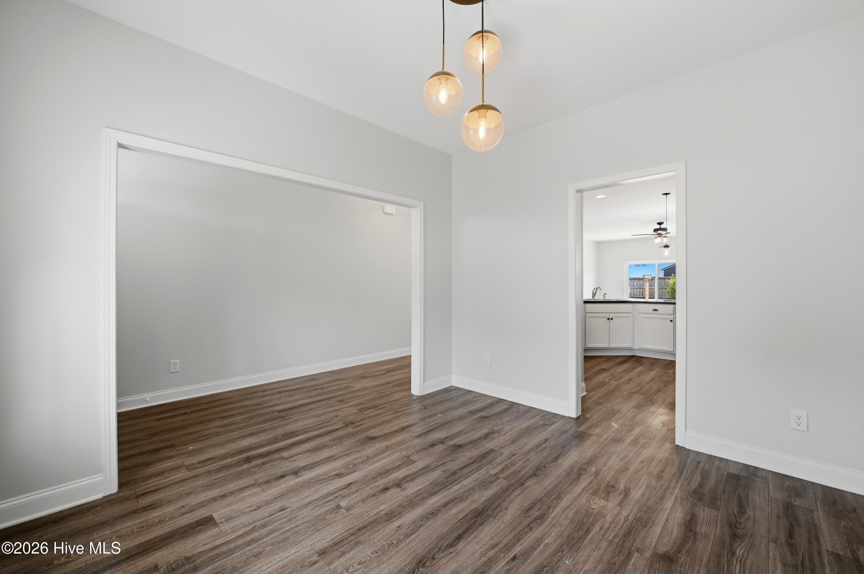 100563104 | Photo 14