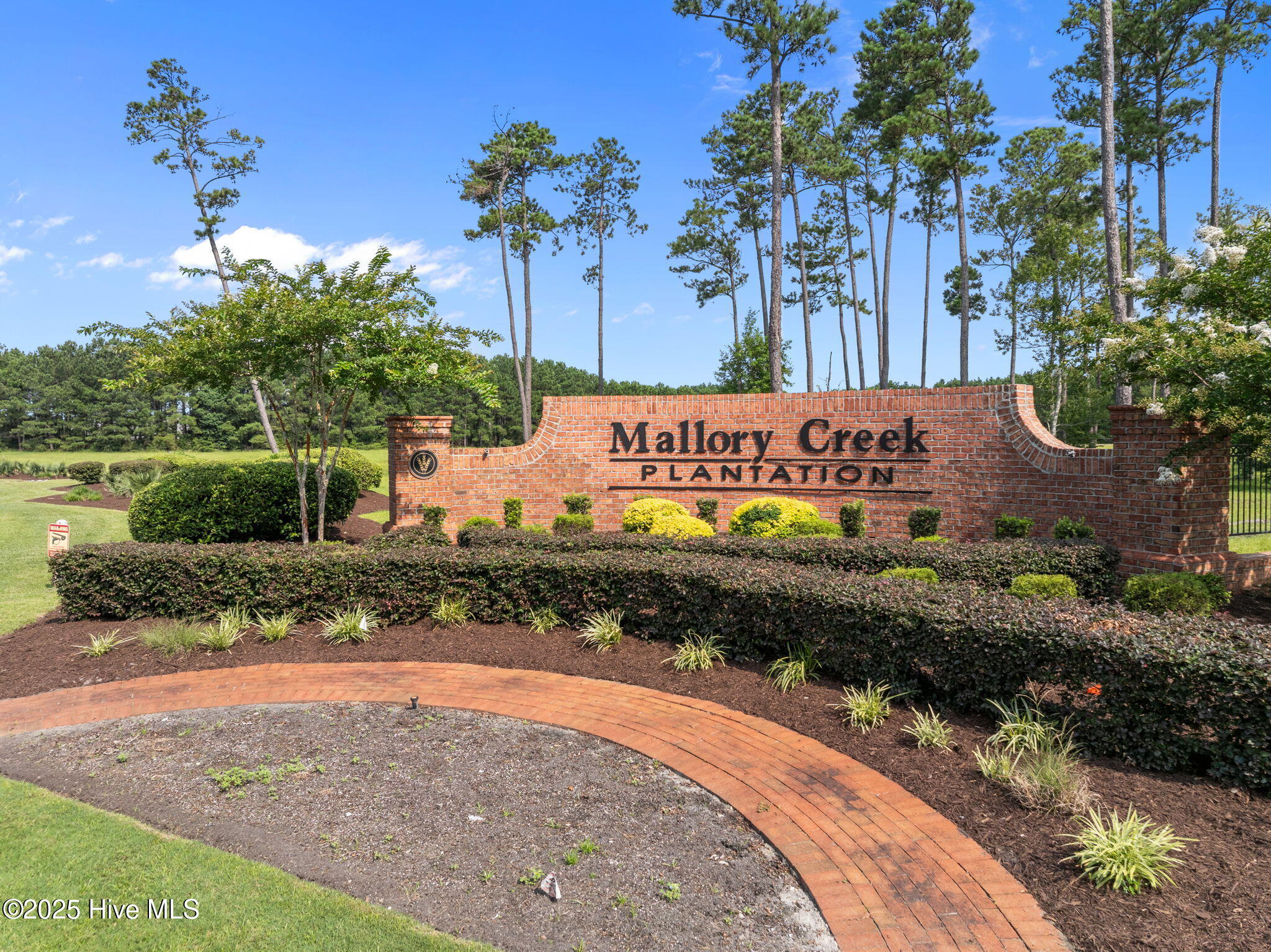 100547166 | Photo 46