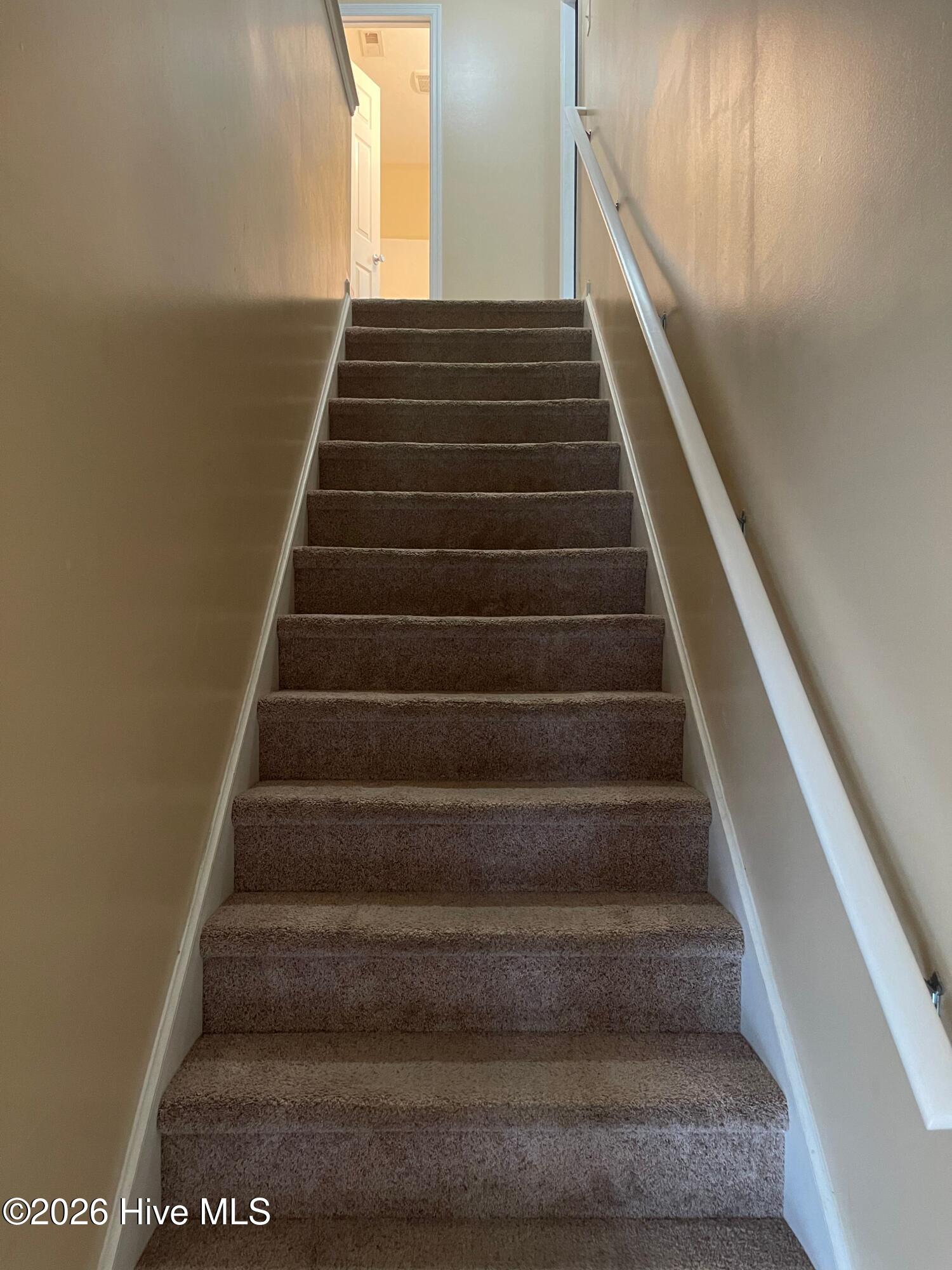 100562553 | Photo 23