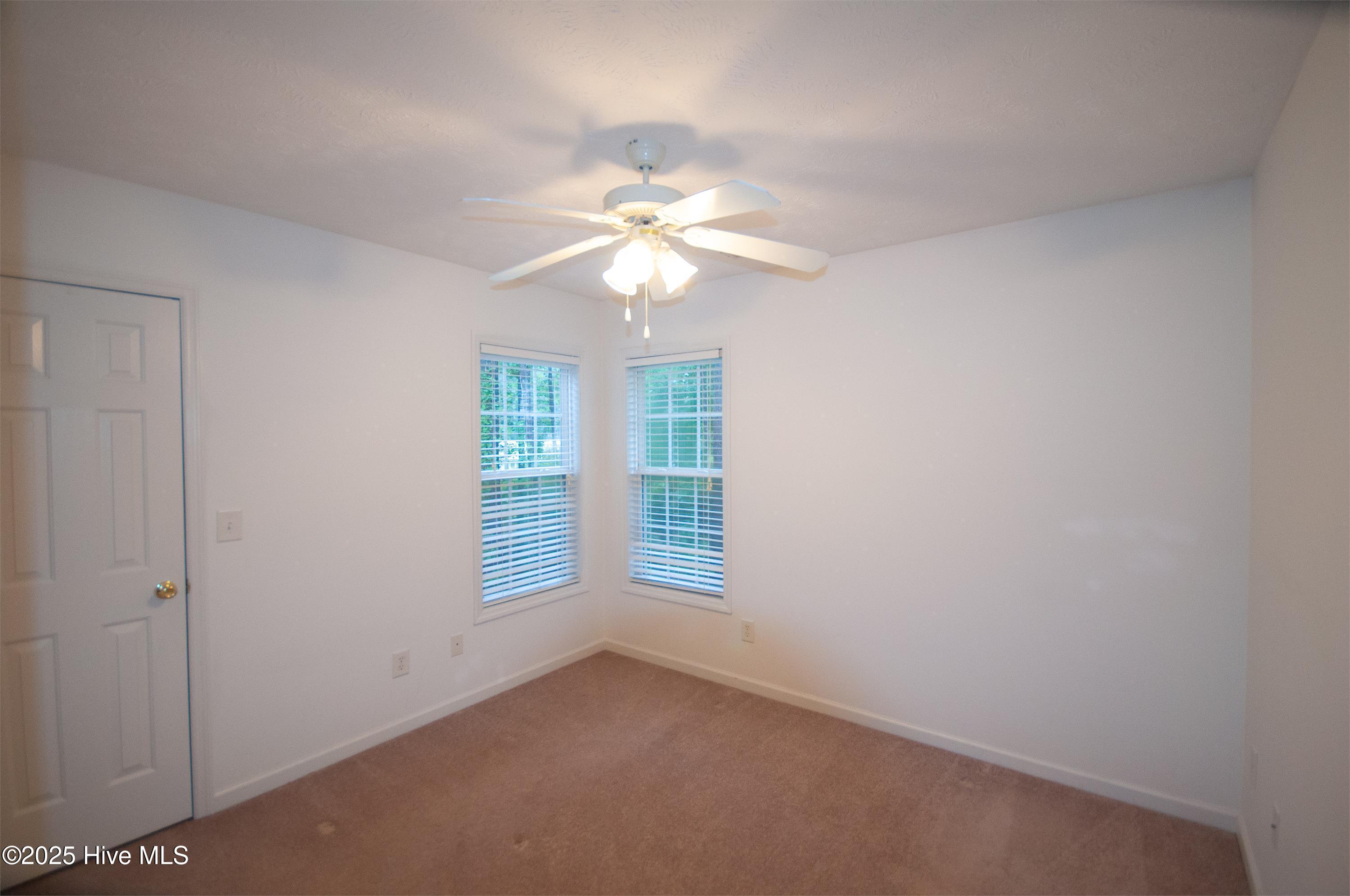 100532308 | Photo 14