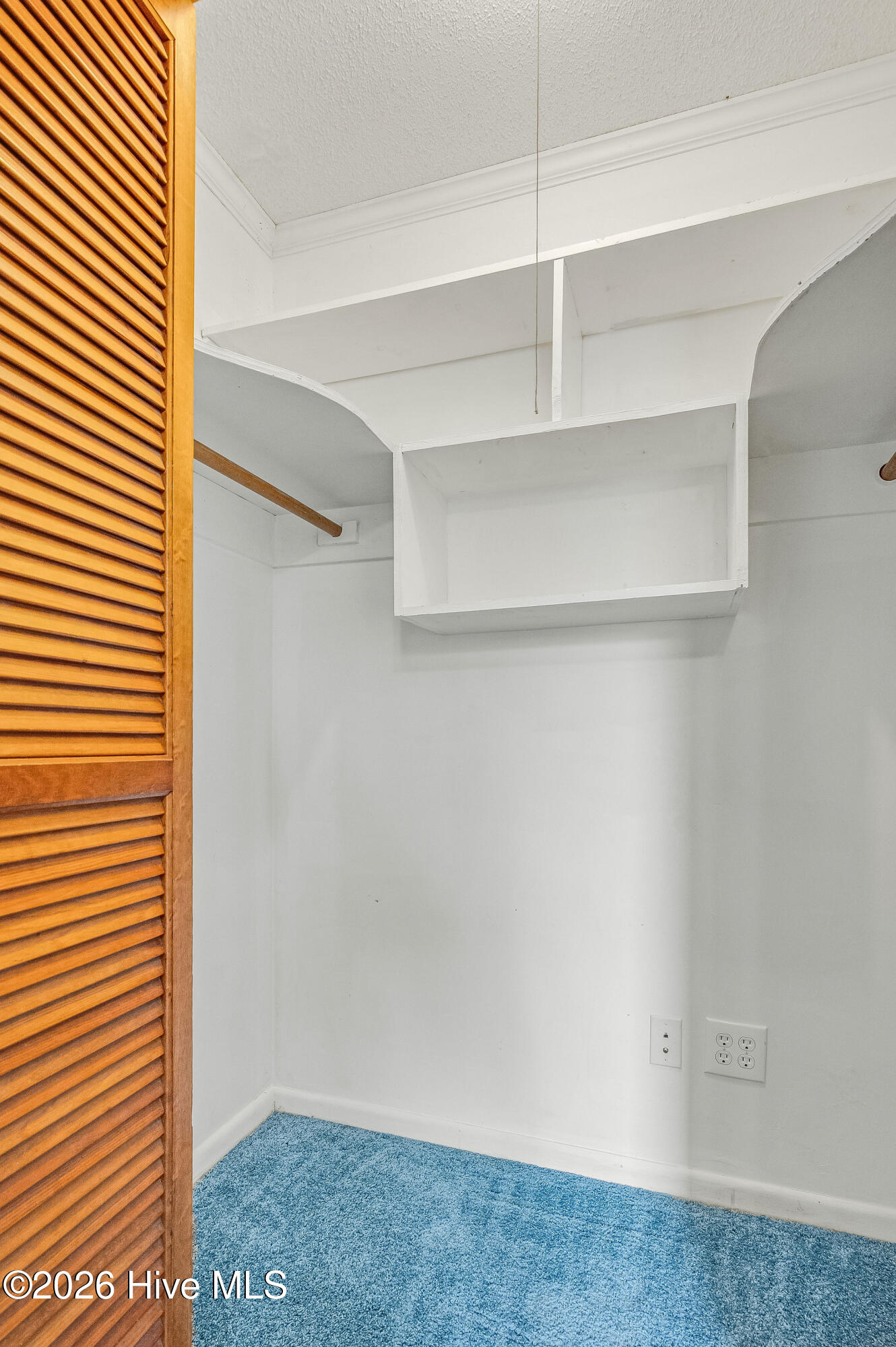 100556602 | Photo 49