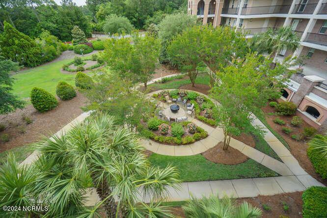 100558895 | Photo 45