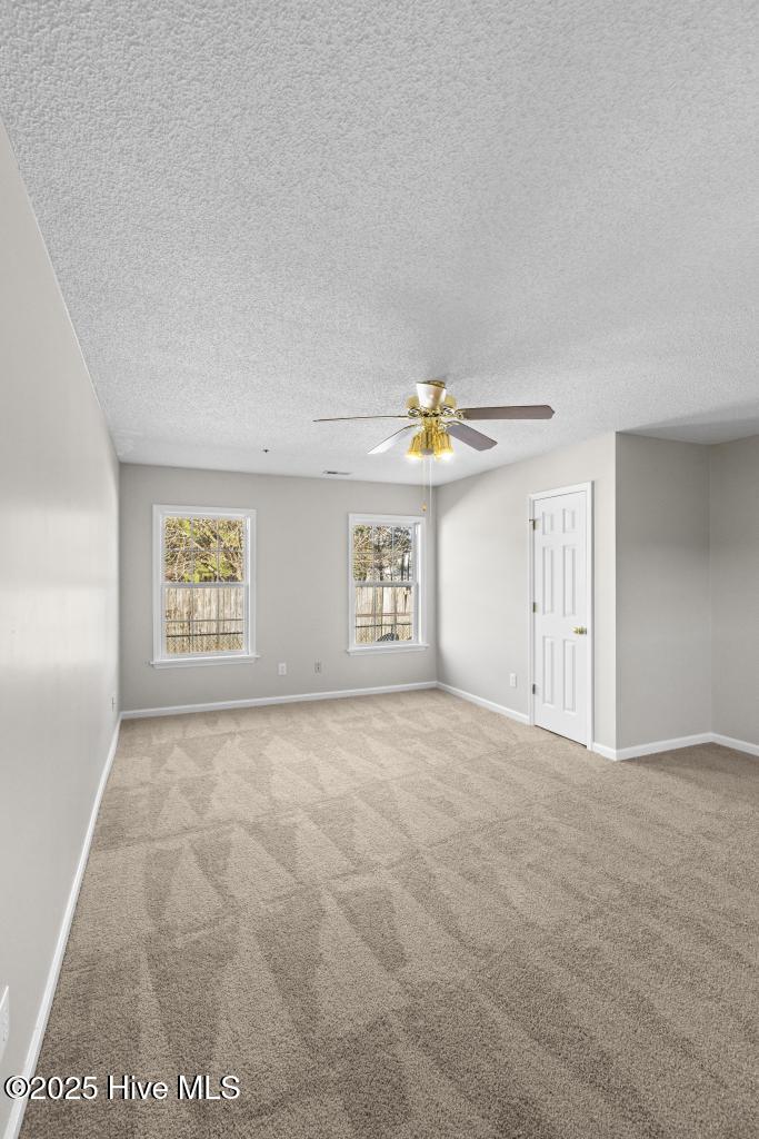 100546857 | Photo 25