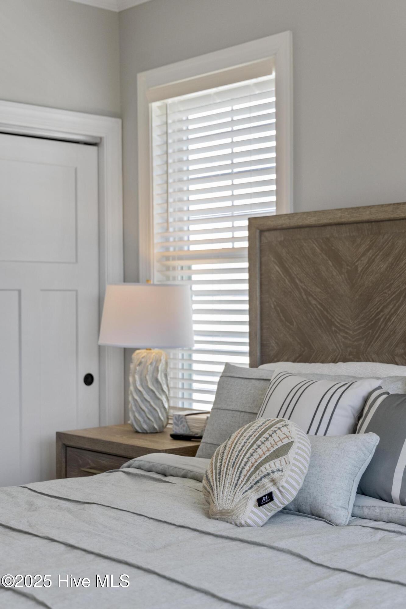 100498543 | Photo 86