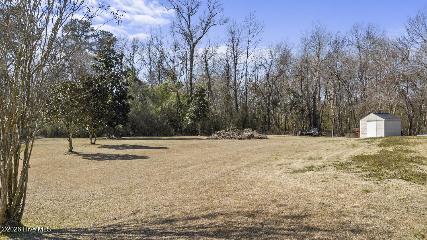 100555225 | Photo 32