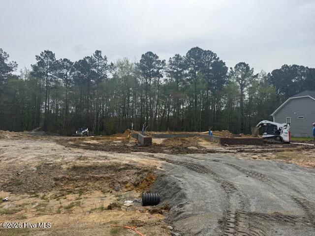 100563428 | Photo 49