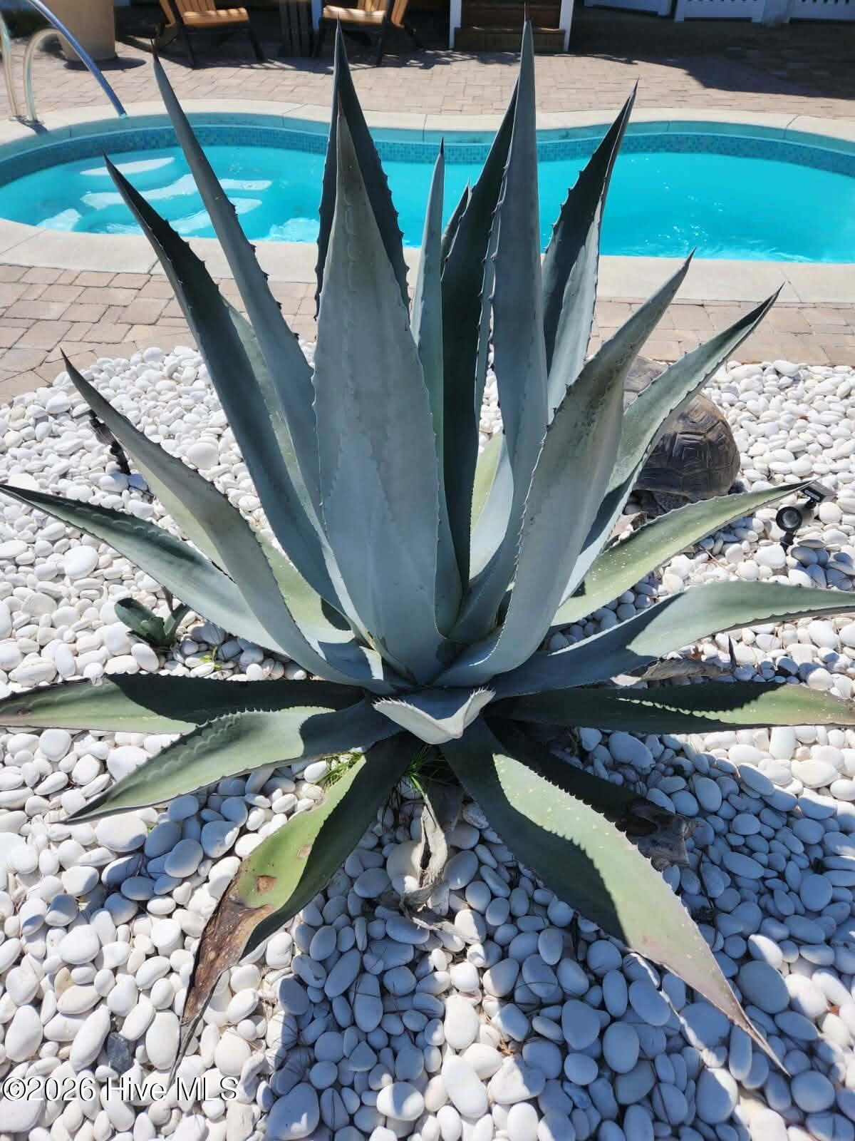 100553257 | Photo 26