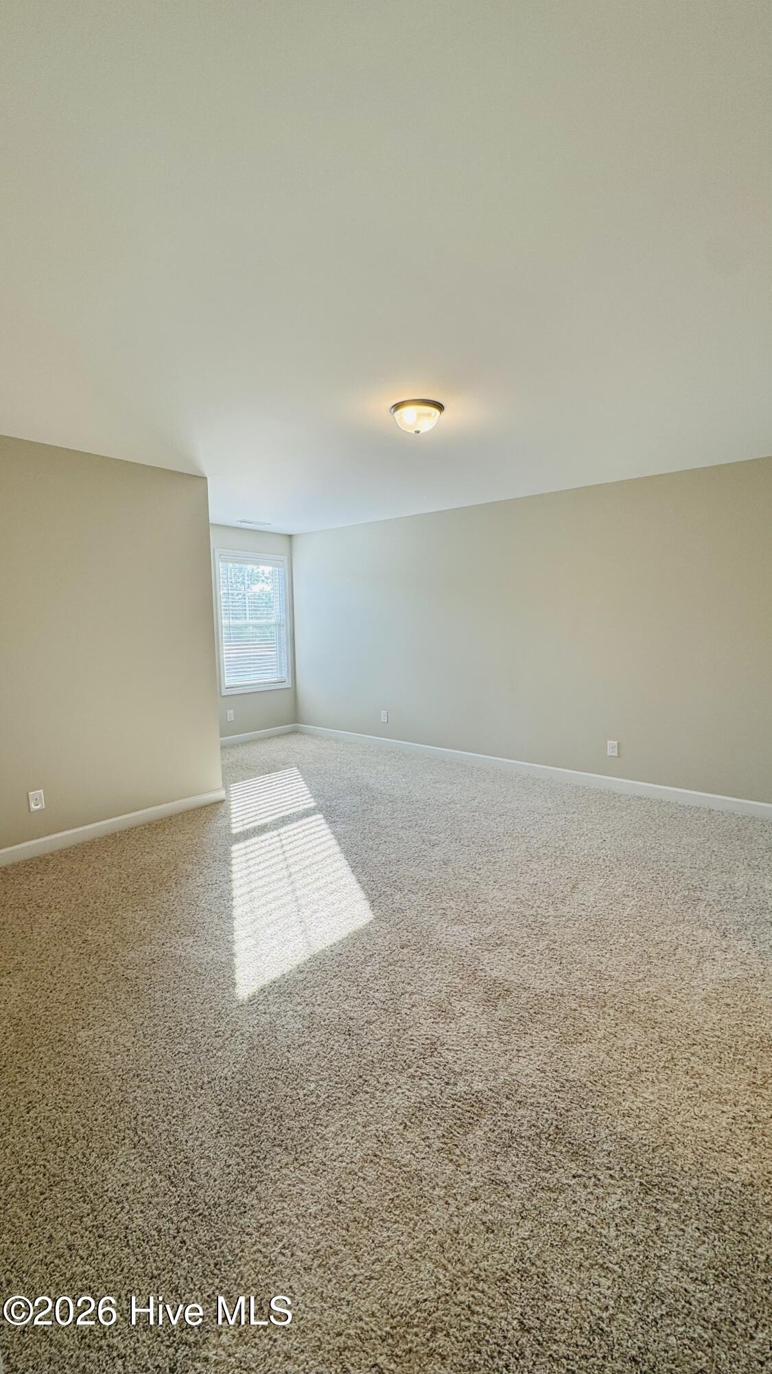 100562779 | Photo 28