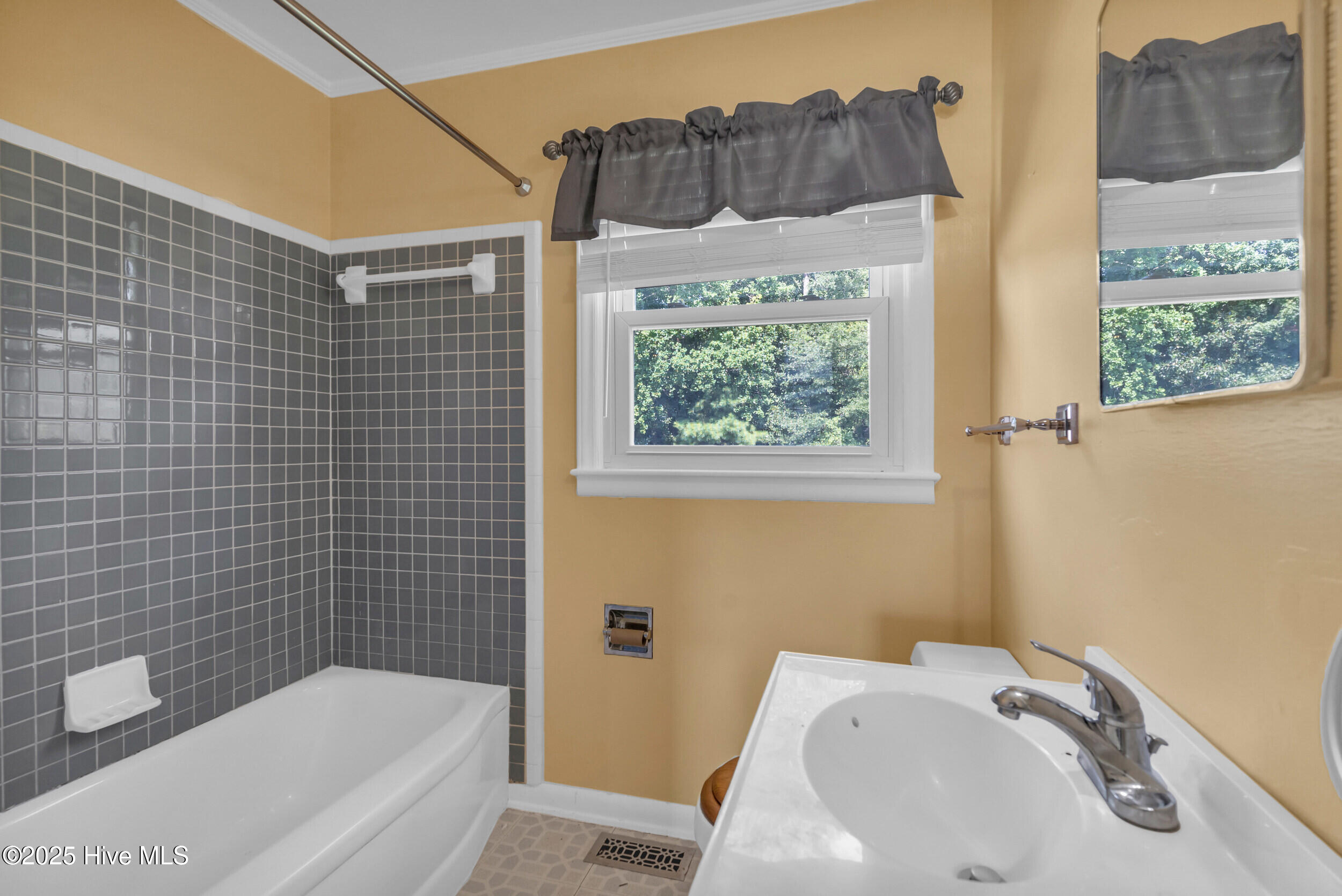 100526914 | Photo 11