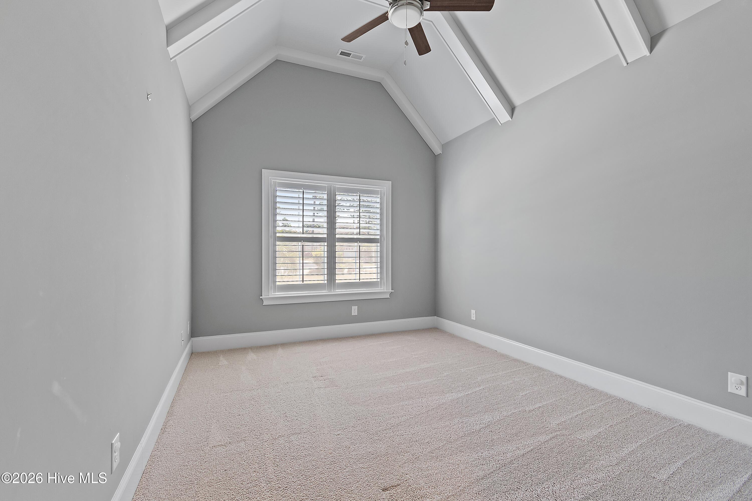 100564386 | Photo 31