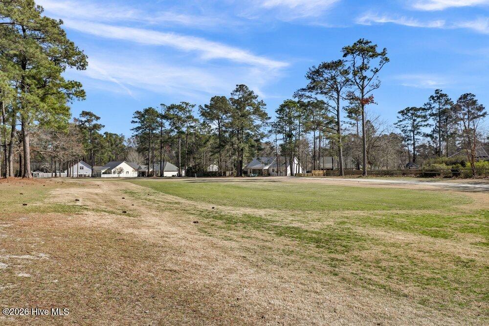 100559070 | Photo 27