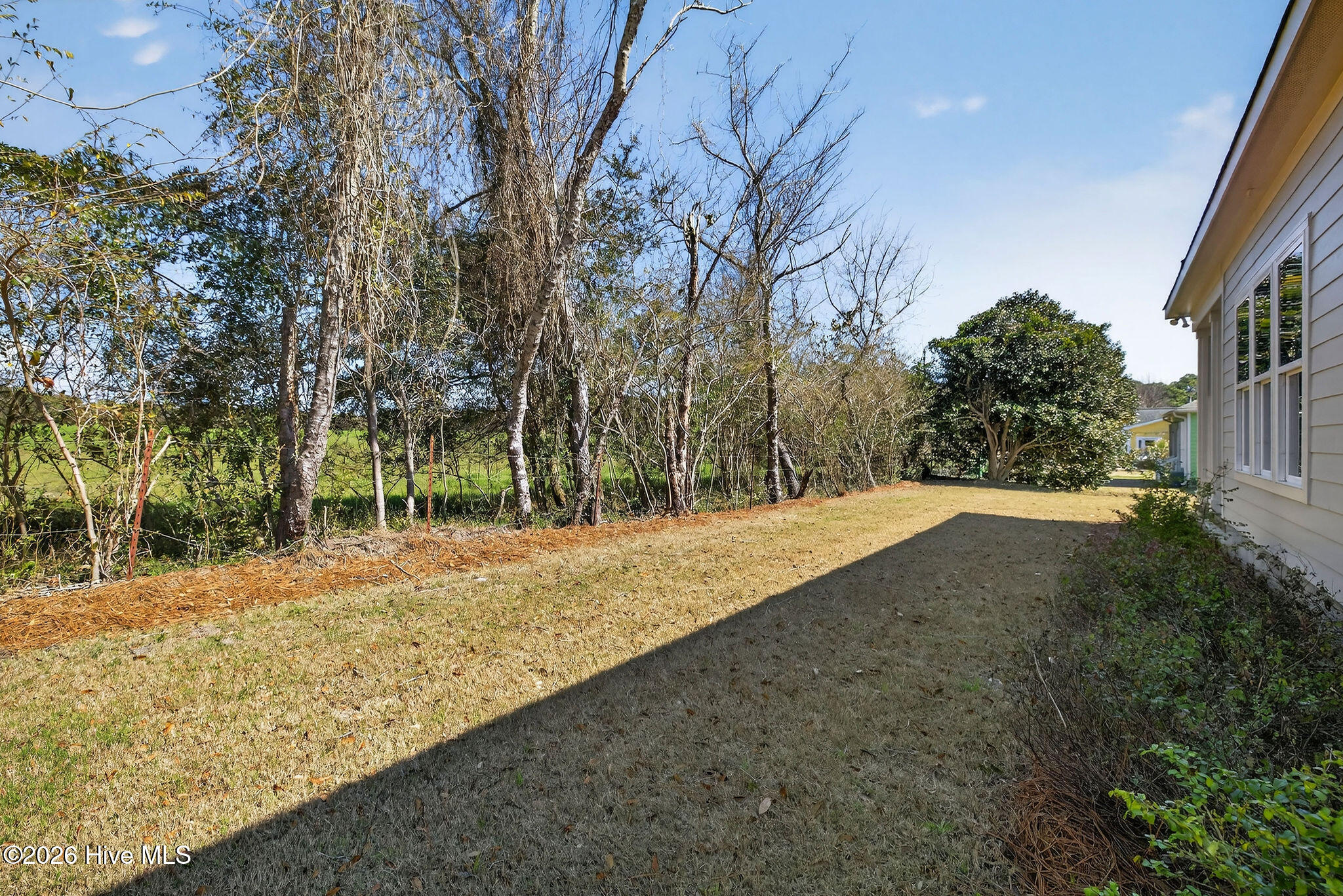 100560917 | Photo 43